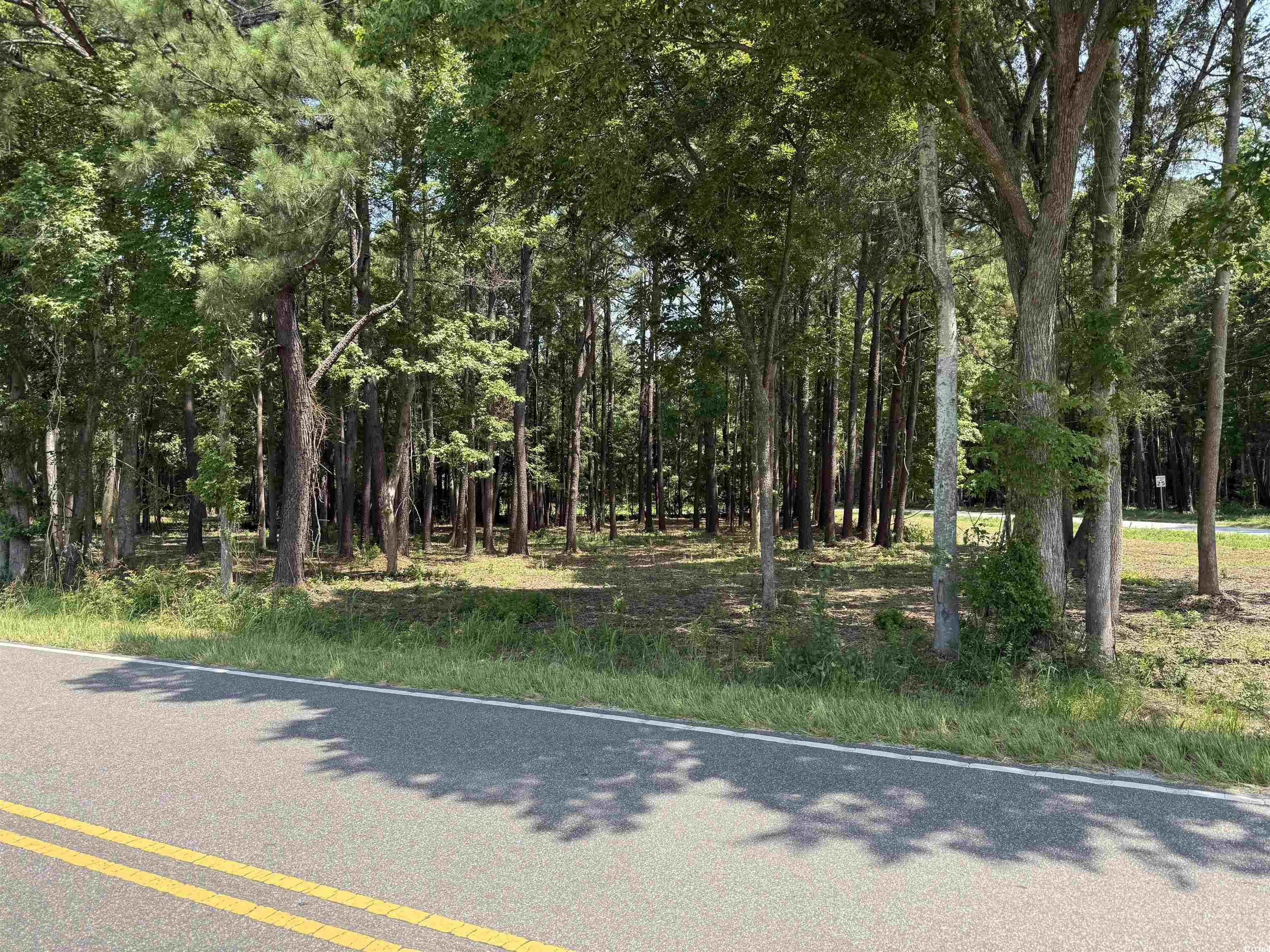 Lot 6 Johnson Shelley Rd., Conway, South Carolina image 4