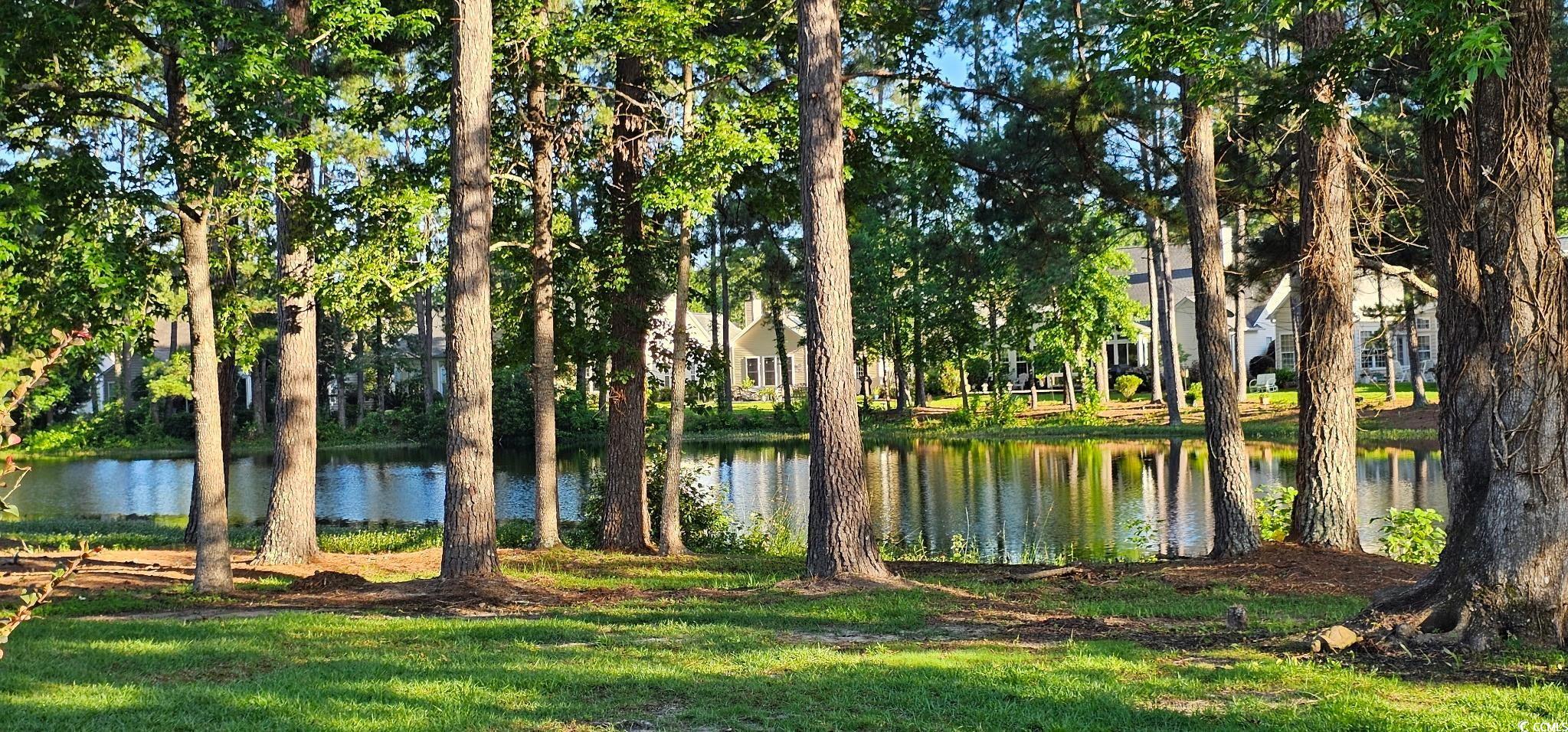 6400 Longwood Dr., Murrells Inlet, South Carolina image 32