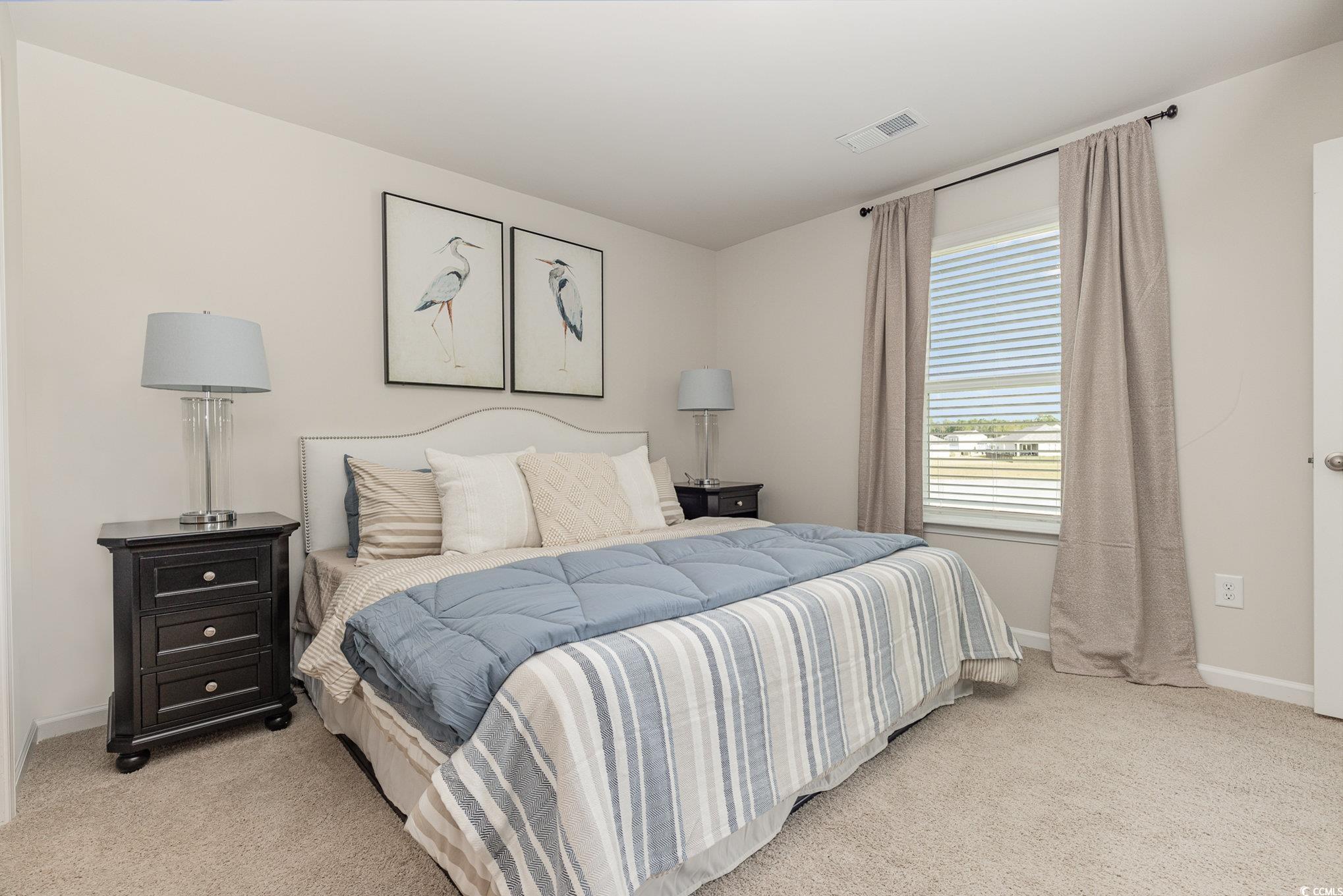 394 Acosta Circle, Conway, South Carolina image 20