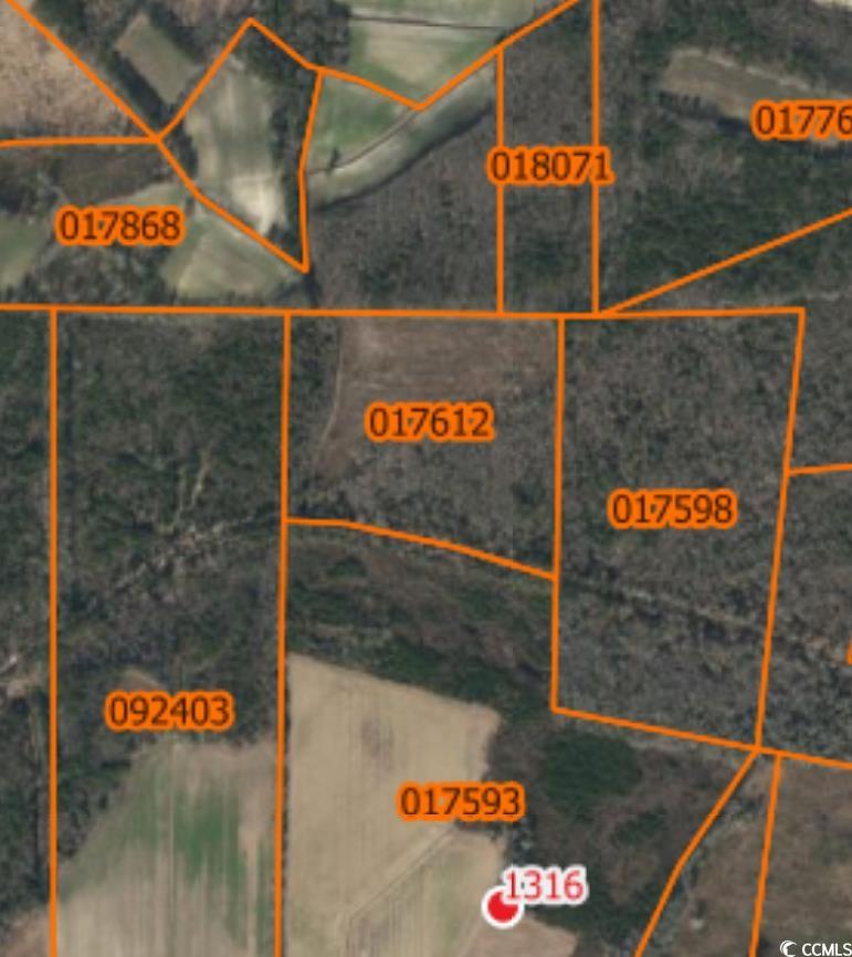 TBD Swamp Fox Hwy. W , NC 28439