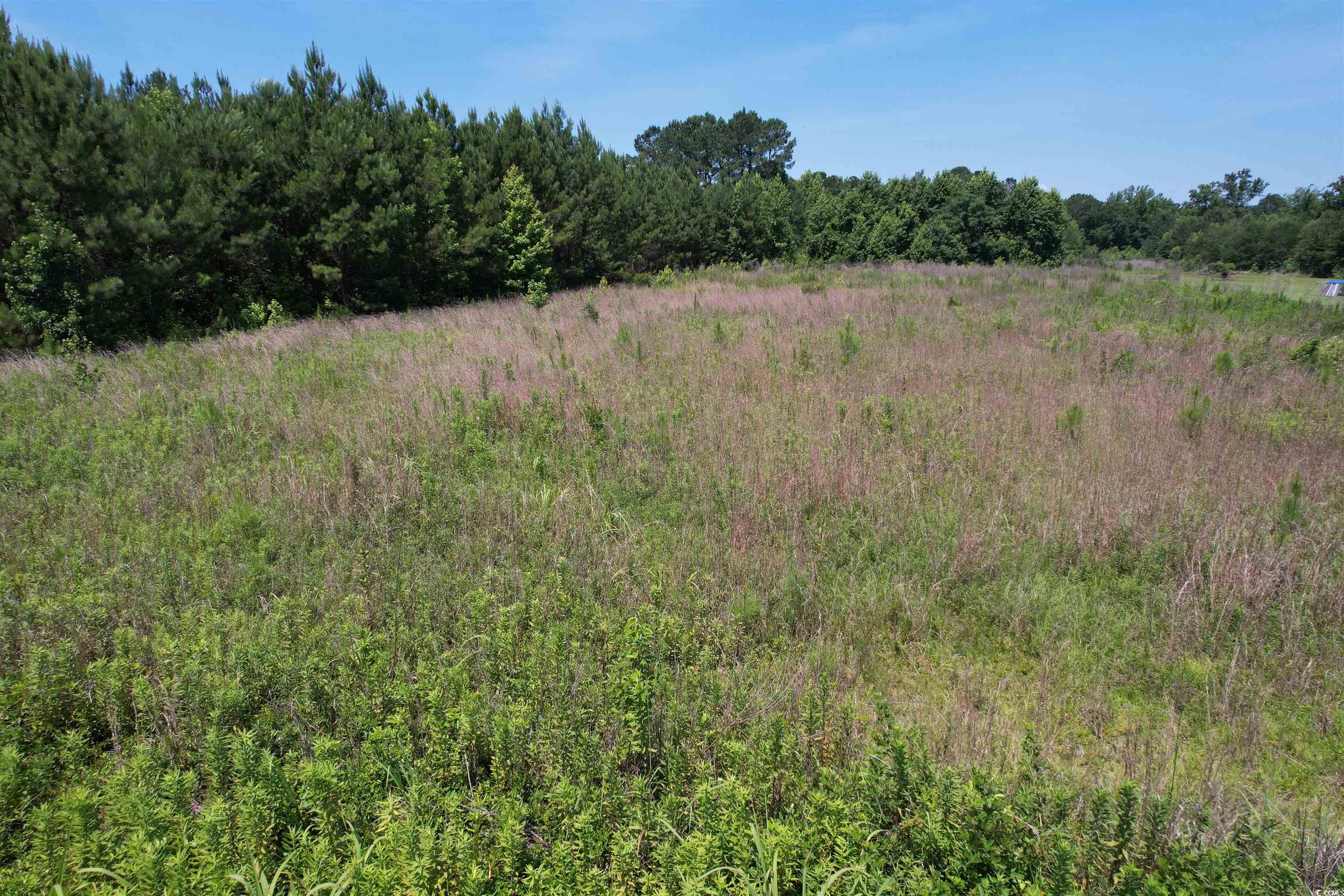 3.7 Acres - TBD Marion Church Rd., Salters, South Carolina image 1