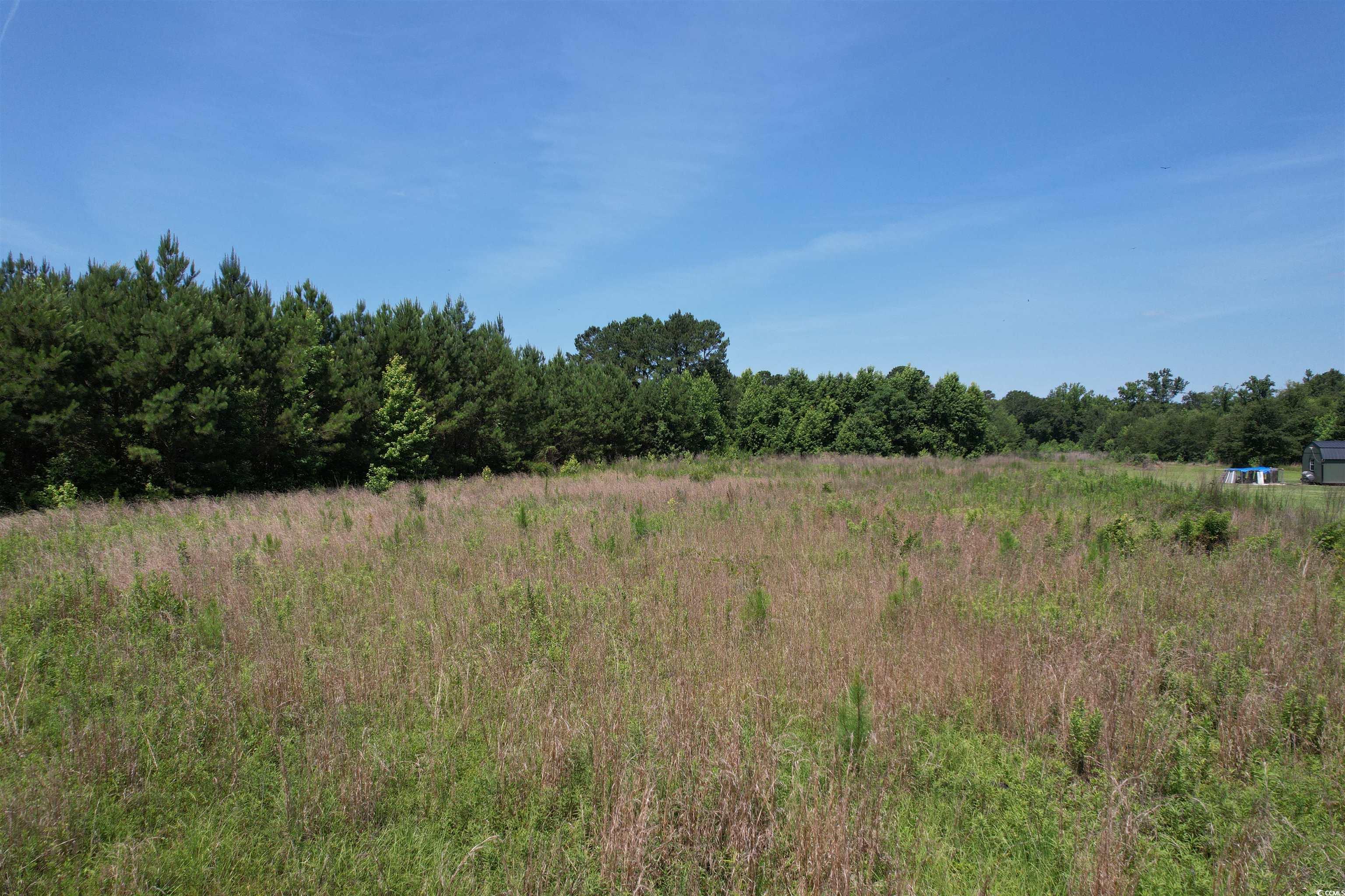 3.7 Acres - TBD Marion Church Rd., Salters, South Carolina image 11
