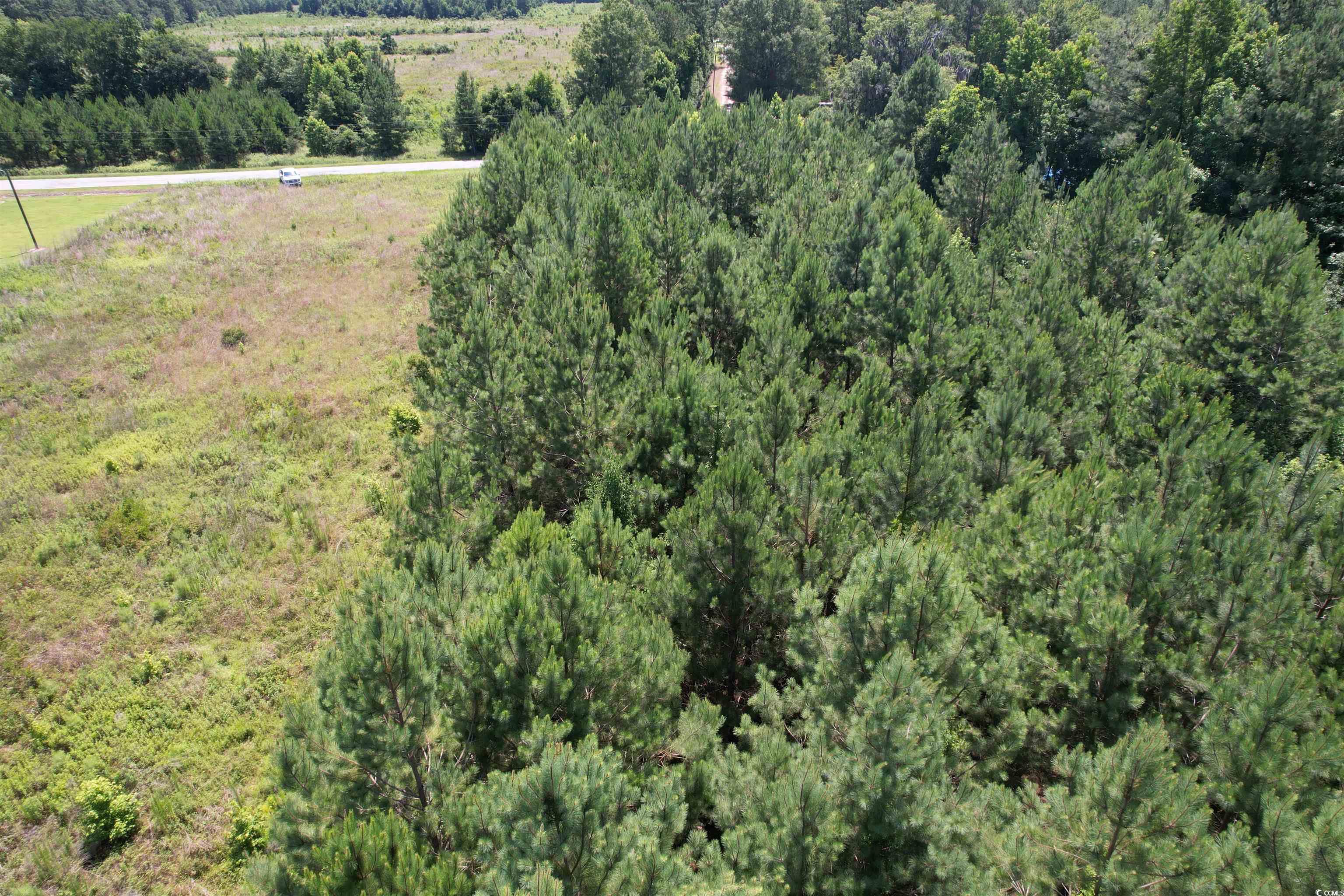 3.7 Acres - TBD Marion Church Rd., Salters, South Carolina image 4