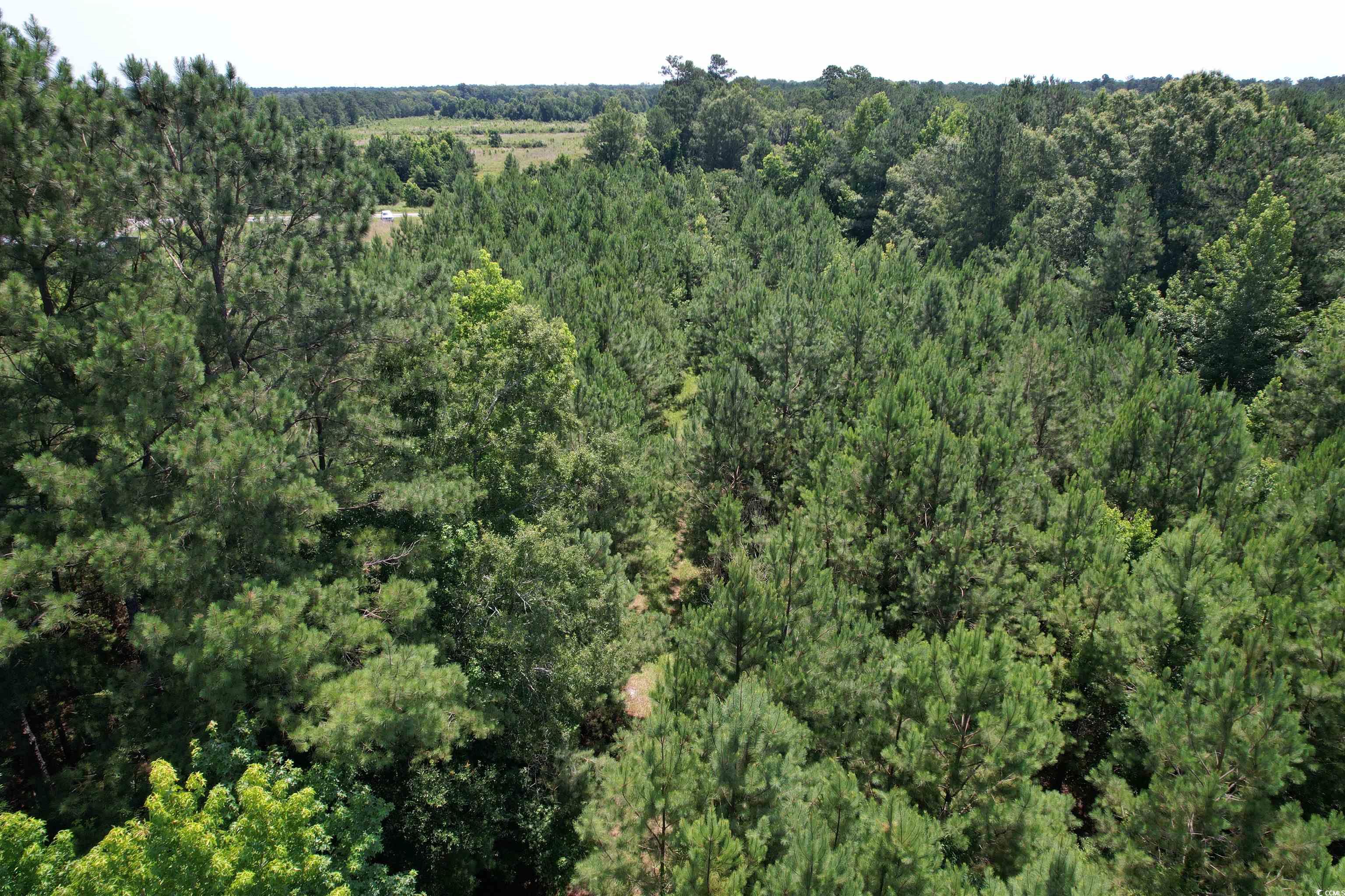 3.7 Acres - TBD Marion Church Rd., Salters, South Carolina image 5