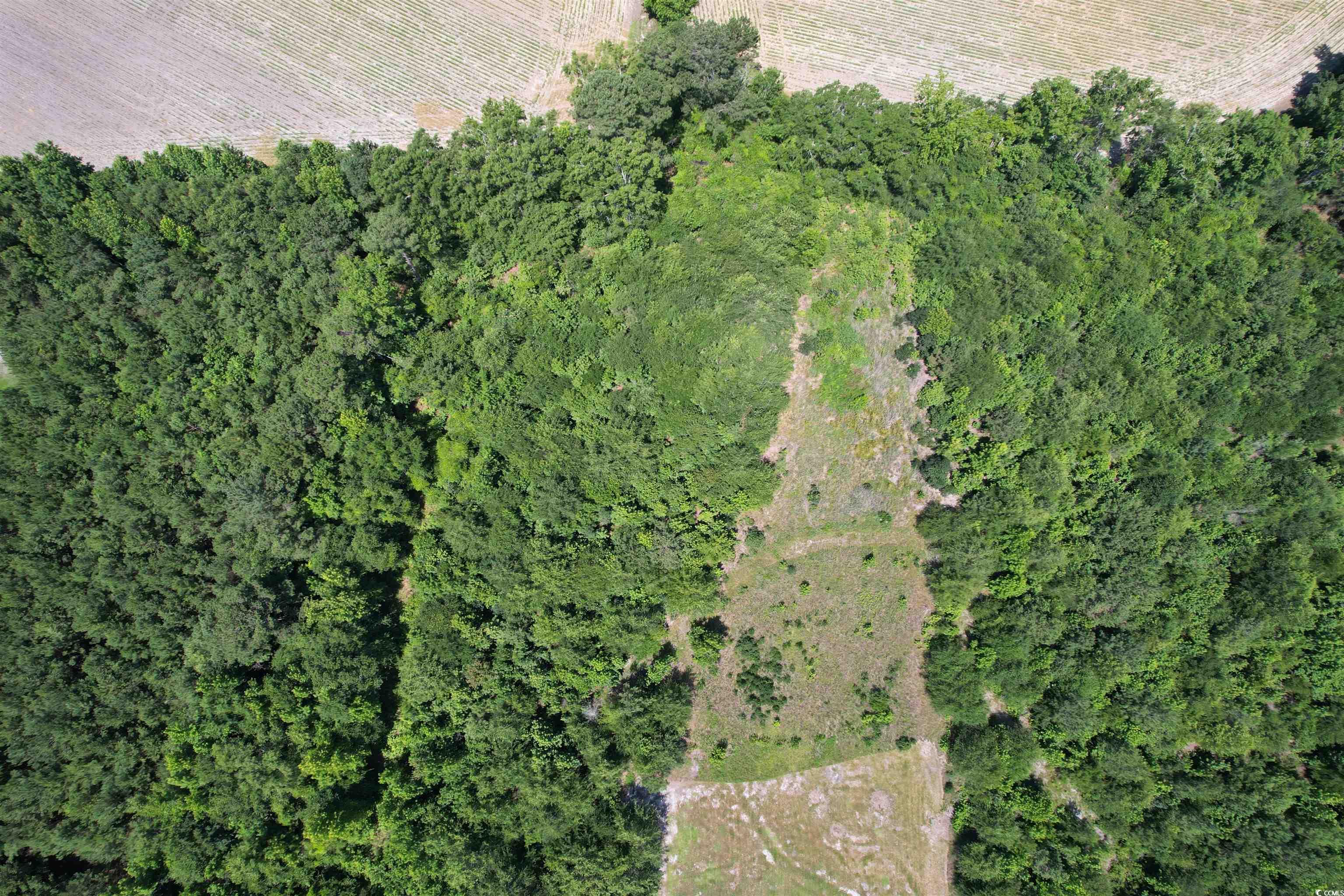 3.7 Acres - TBD Marion Church Rd., Salters, South Carolina image 8