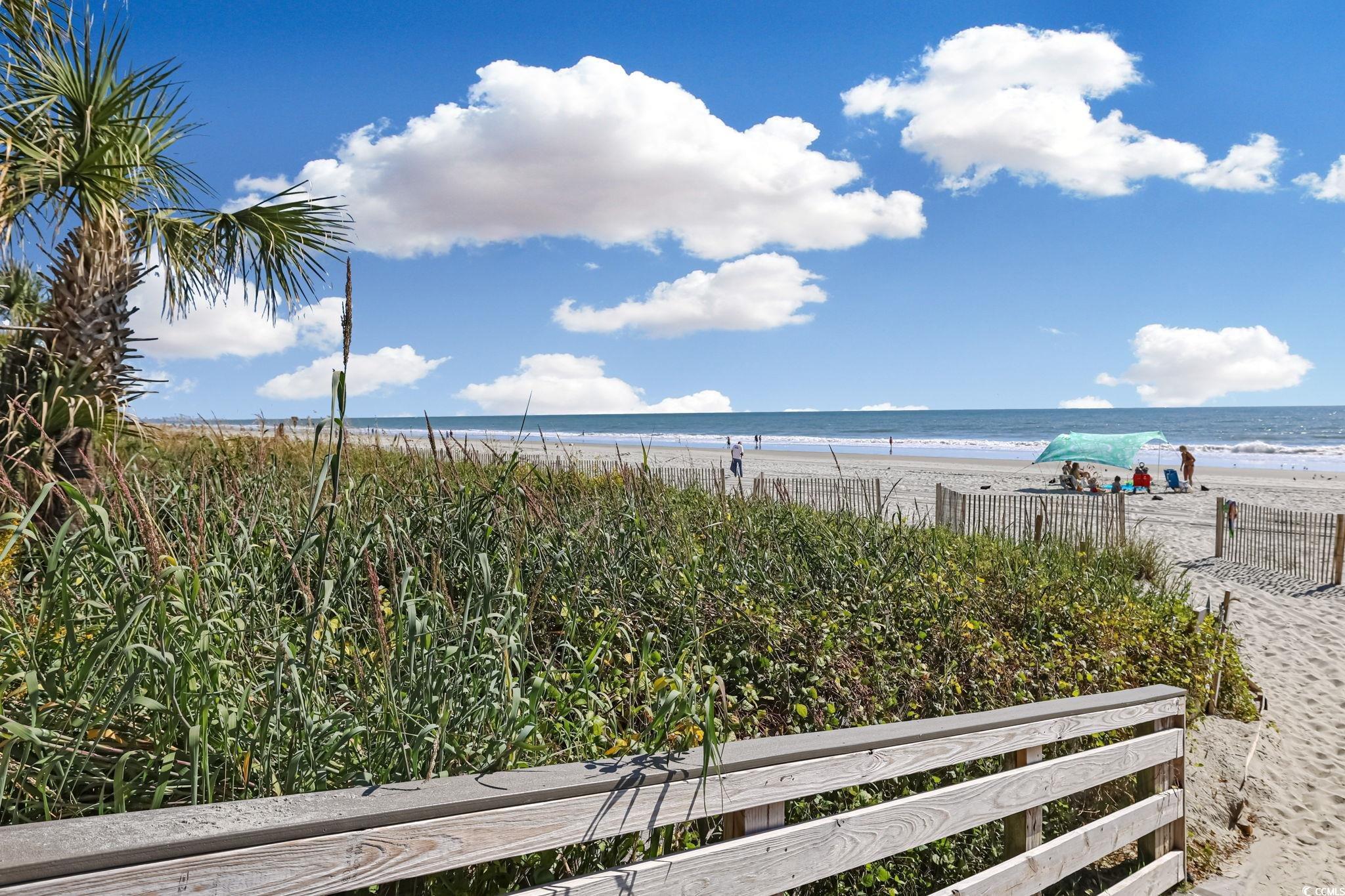 7200 N Ocean Blvd. #459, Myrtle Beach, South Carolina image 22