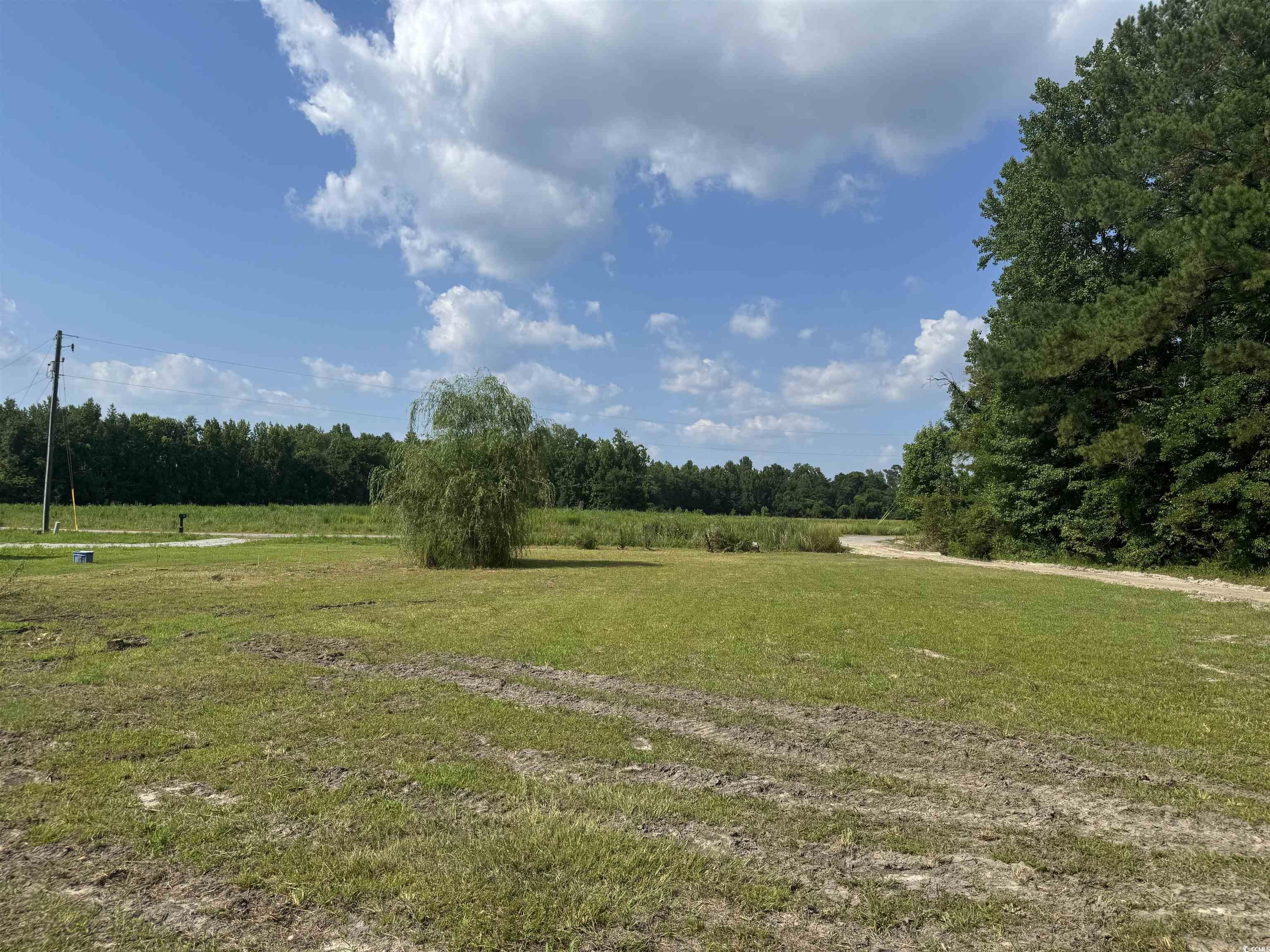 364 Jamie Rd., Galivants Ferry, South Carolina image 4
