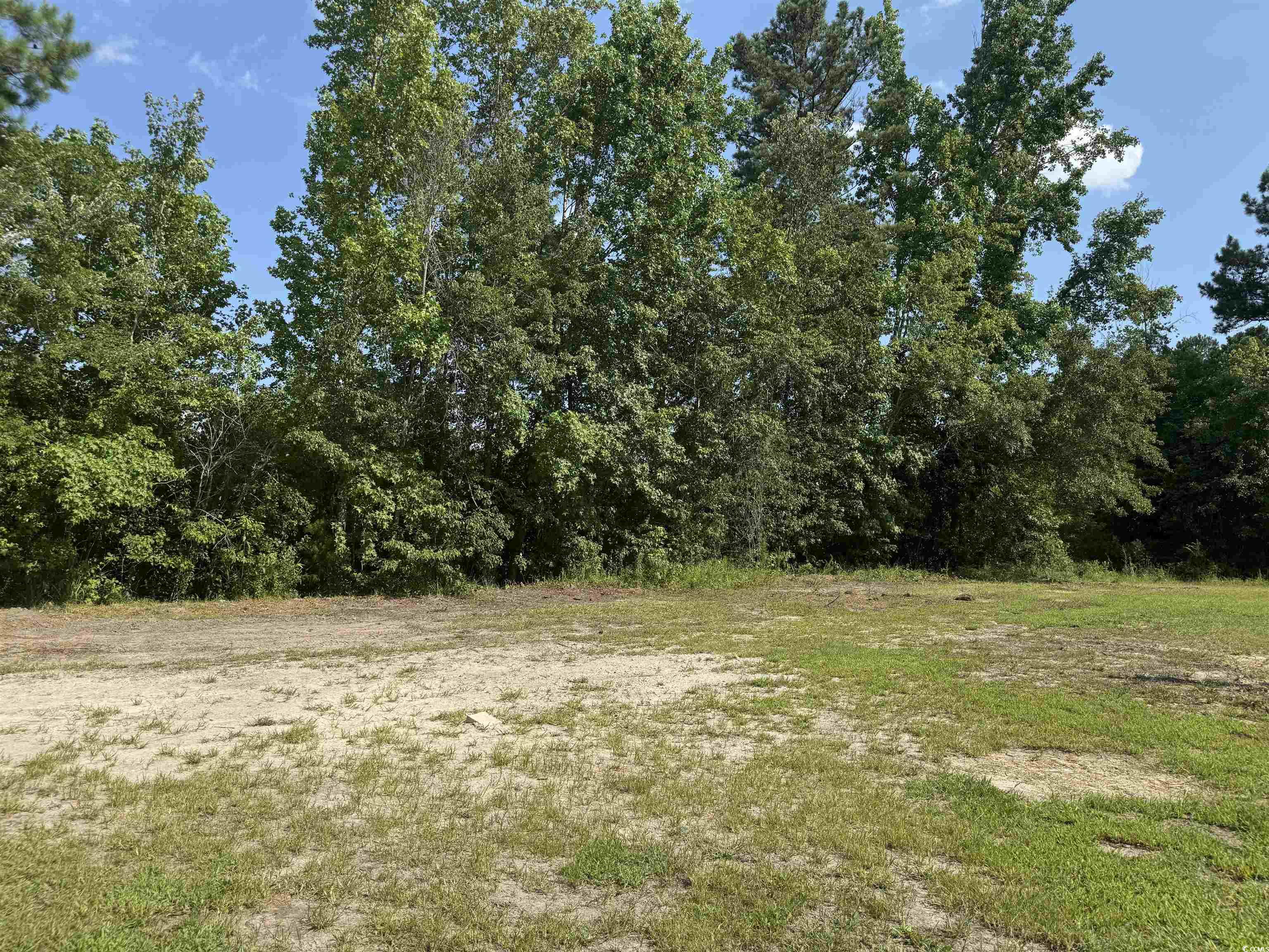 364 Jamie Rd., Galivants Ferry, South Carolina image 6