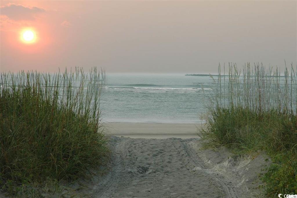 481 Magnolia Terrace Dr, Myrtle Beach, South Carolina image 16