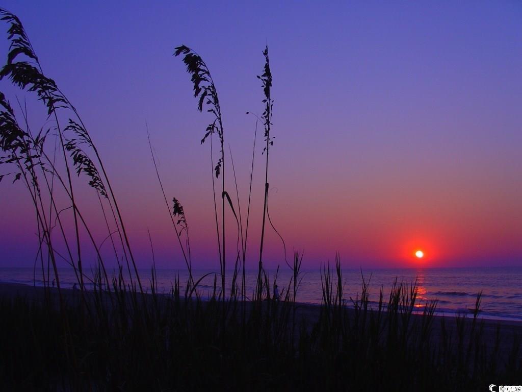 481 Magnolia Terrace Dr, Myrtle Beach, South Carolina image 17
