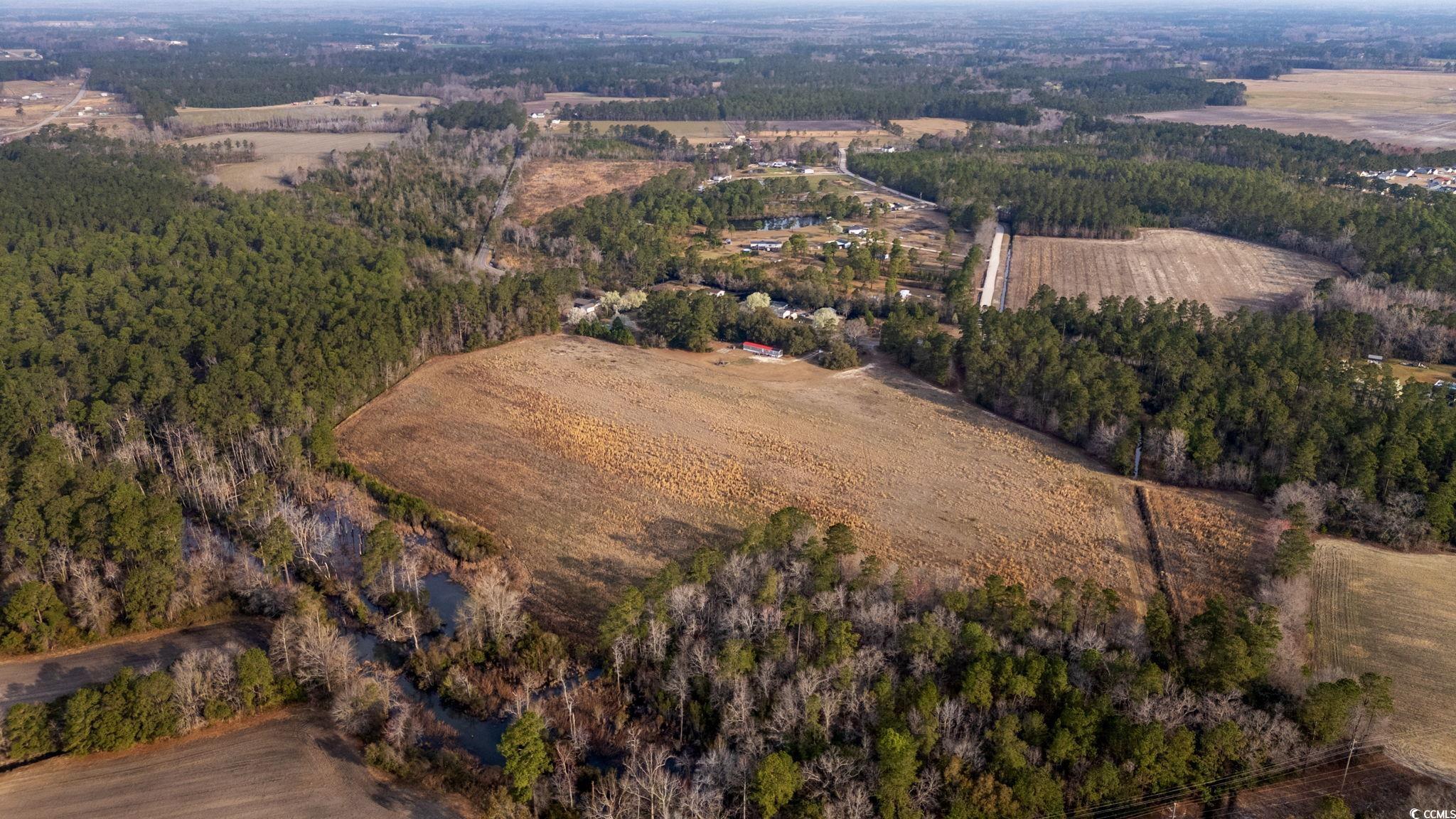 LOT 4 Apple Valley Rd., Loris, South Carolina image 1