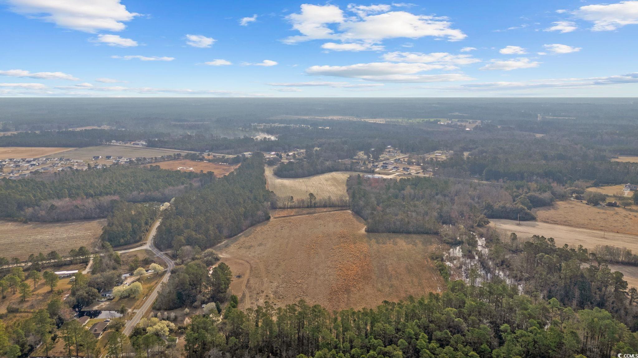 LOT 4 Apple Valley Rd., Loris, South Carolina image 14