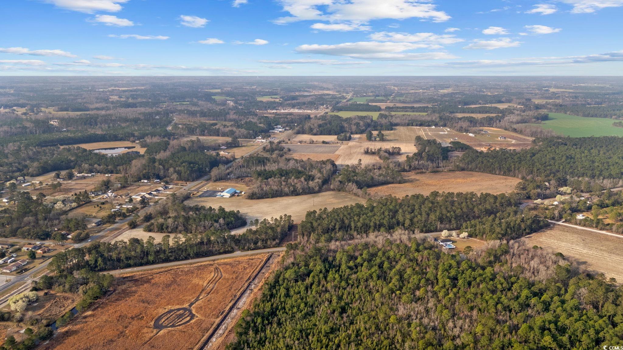 LOT 4 Apple Valley Rd., Loris, South Carolina image 3