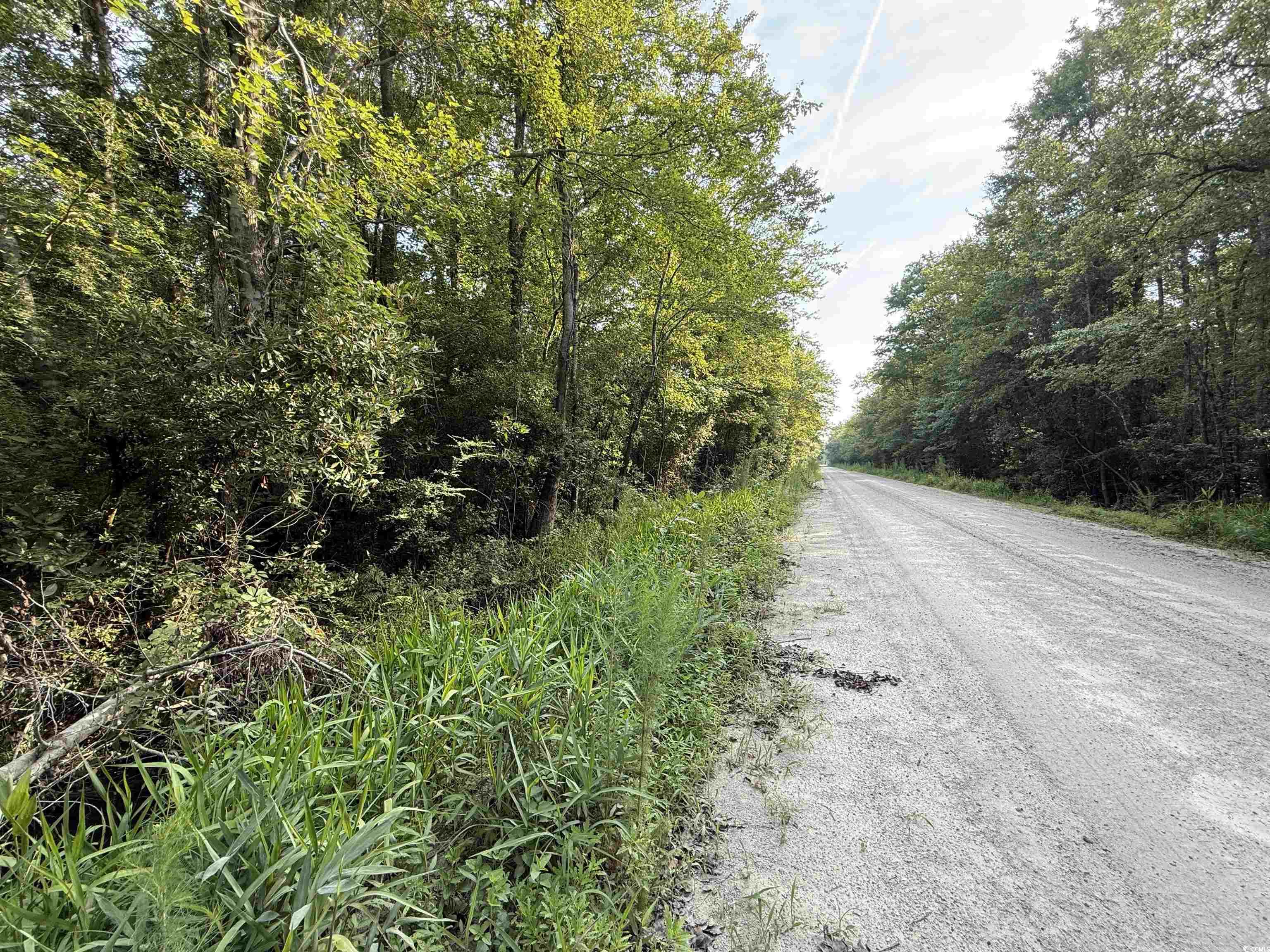 TBD Wolf Pit Bay Rd., Nichols, South Carolina image 1