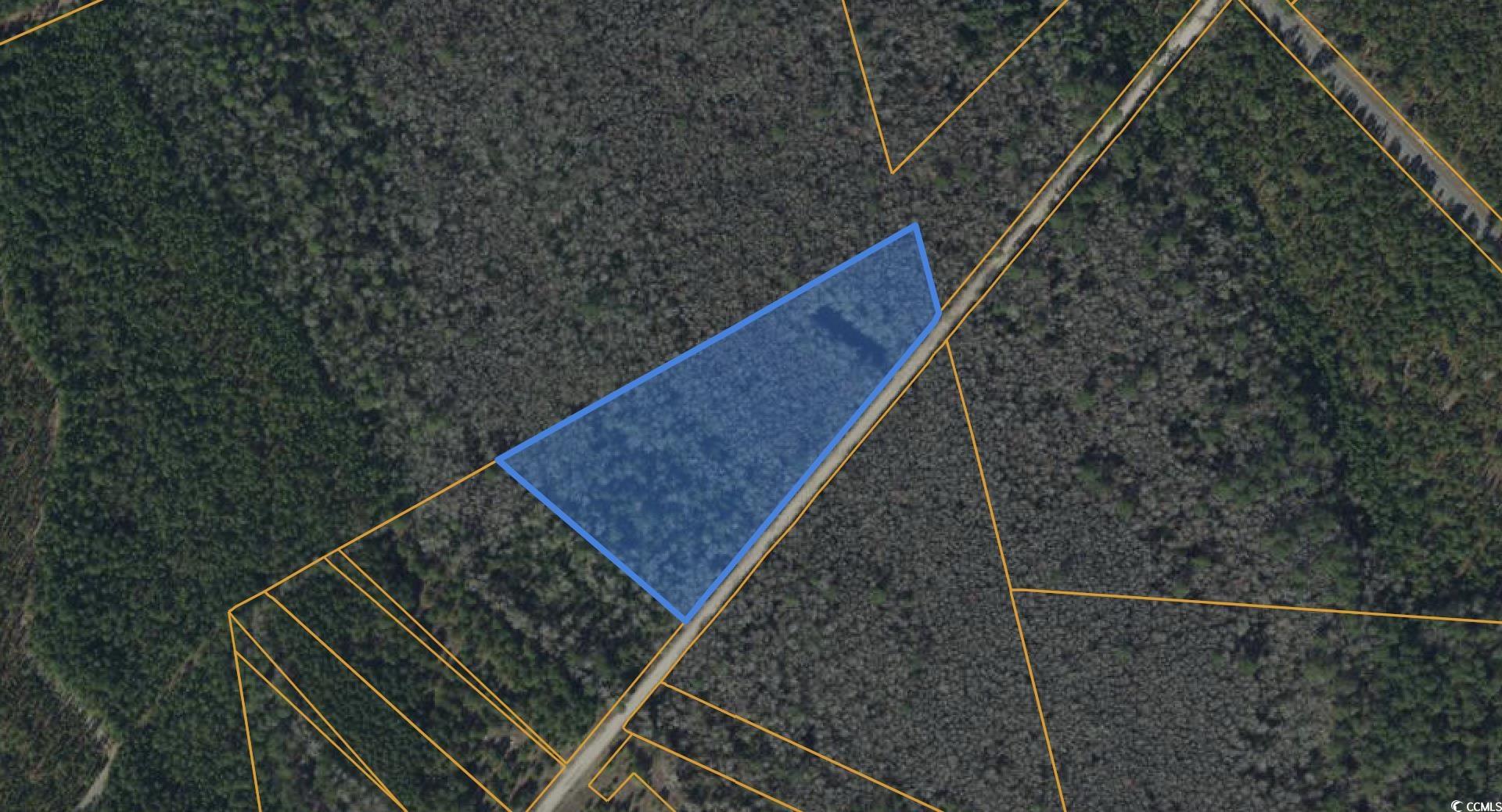 TBD Wolf Pit Bay Rd., Nichols, South Carolina image 6