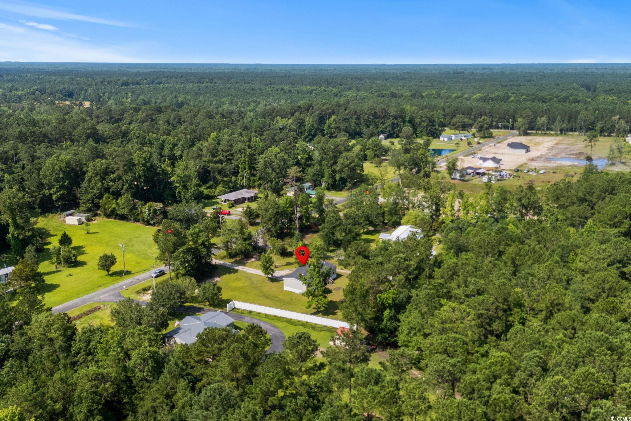 2122 Mineral Springs Rd., Conway, South Carolina image 38