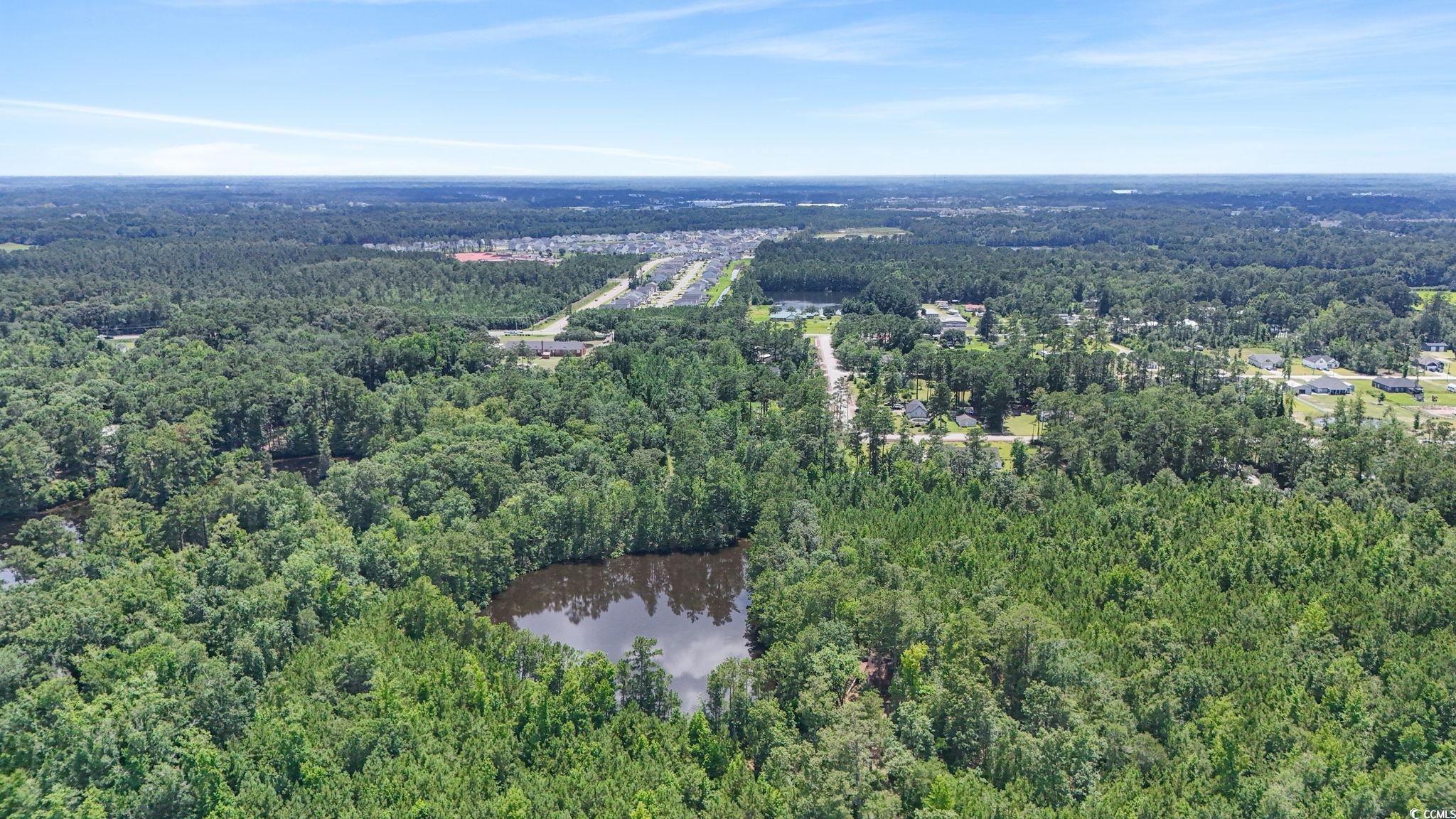 1351 Highway 90, Conway, South Carolina image 11