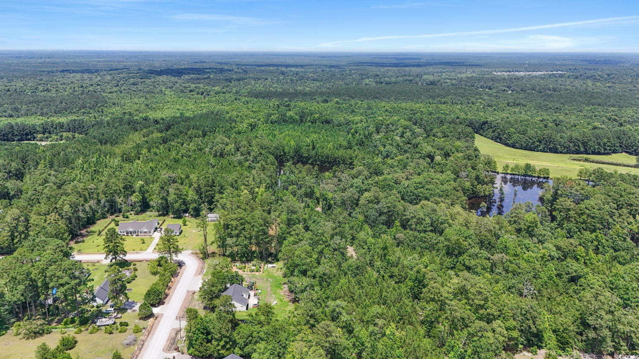 1351 Highway 90, Conway, South Carolina image 6