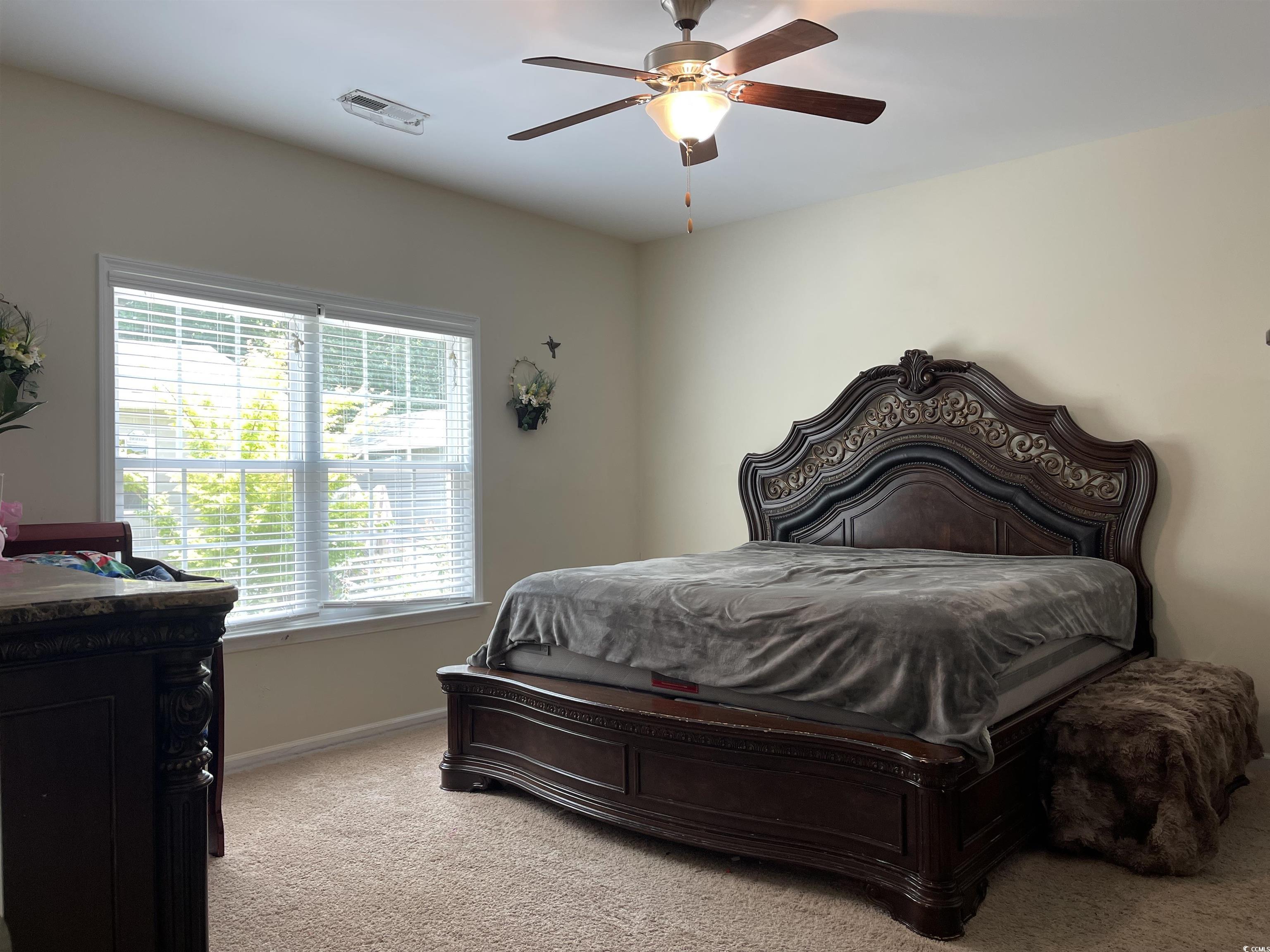340 Barony Dr., Conway, South Carolina image 11