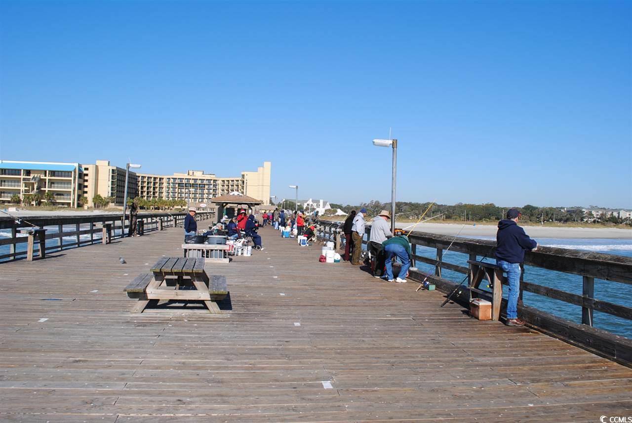 480 Magnolia Terrace Dr, Myrtle Beach, South Carolina image 23