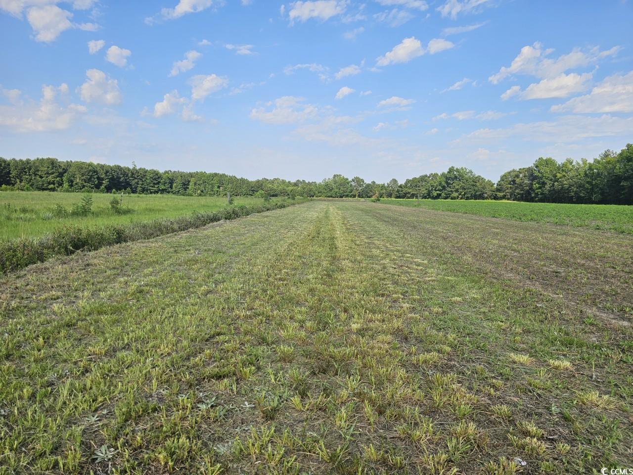 TBD Red Bluff Rd., Loris, South Carolina image 6