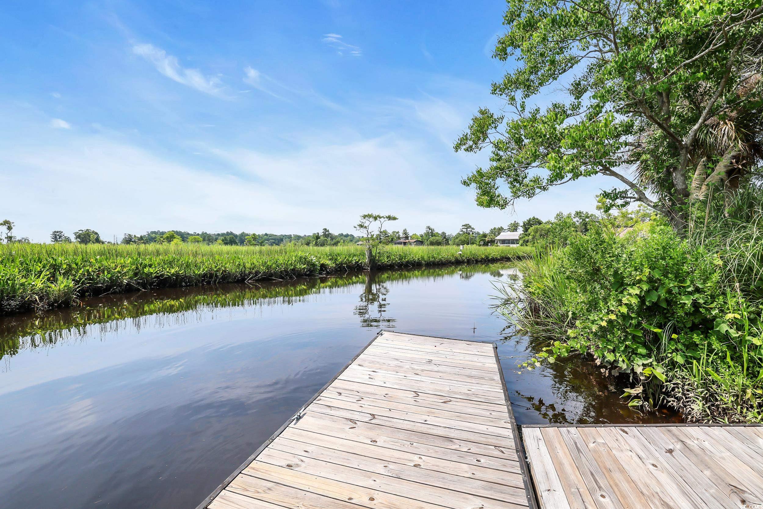 485 Waterford Dr., Georgetown, South Carolina image 36