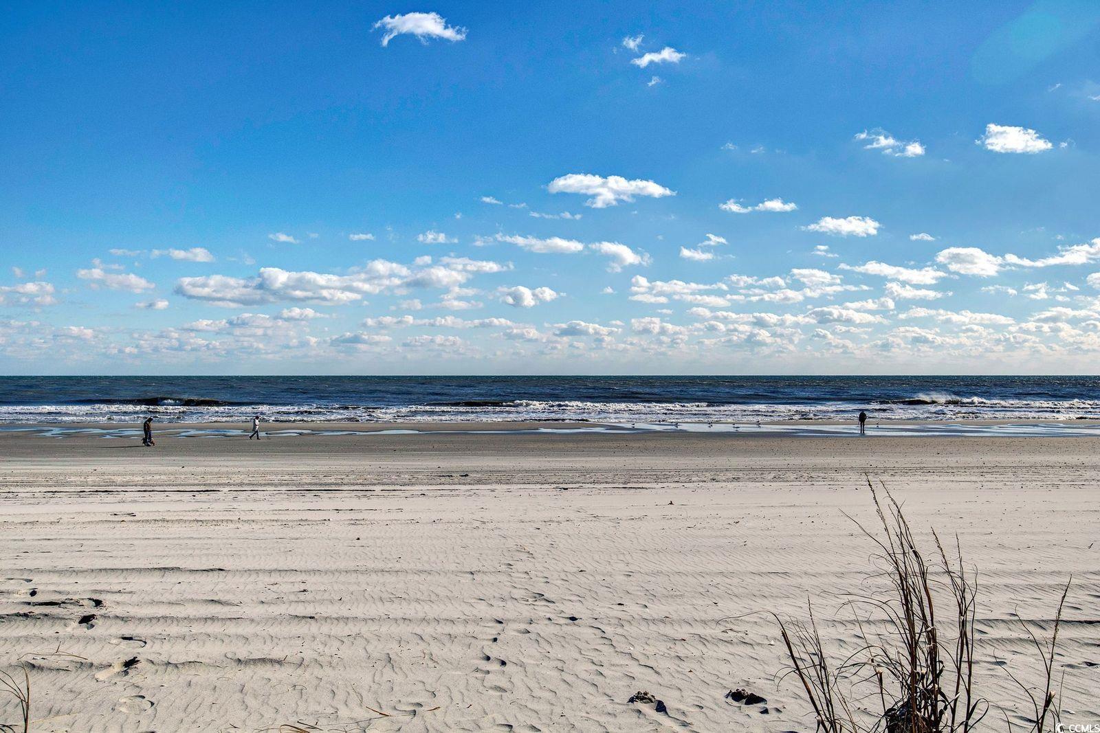 1201 Crooked Hook Rd., North Myrtle Beach, South Carolina image 22