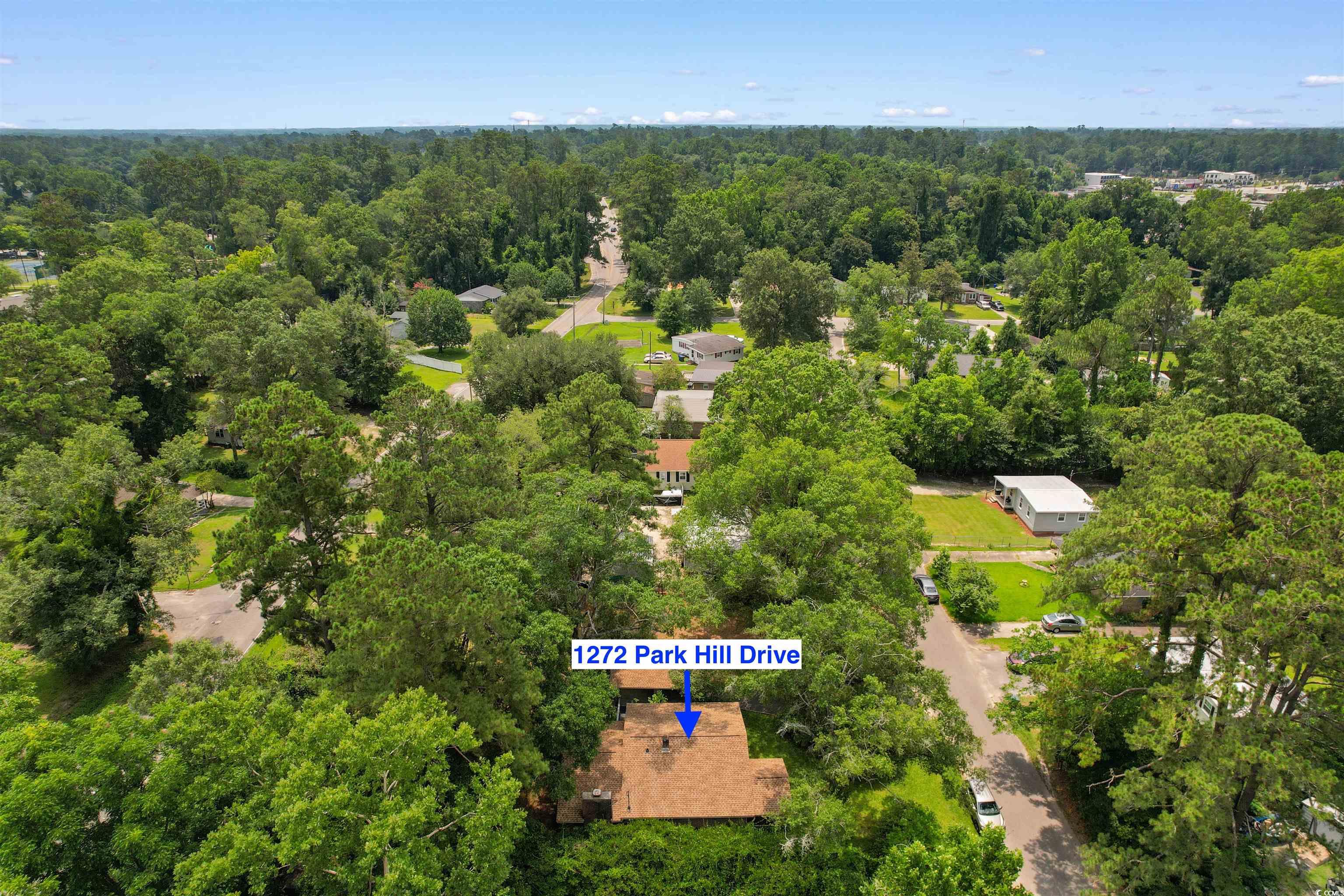 1272 Park Hill Dr., Conway, South Carolina image 37