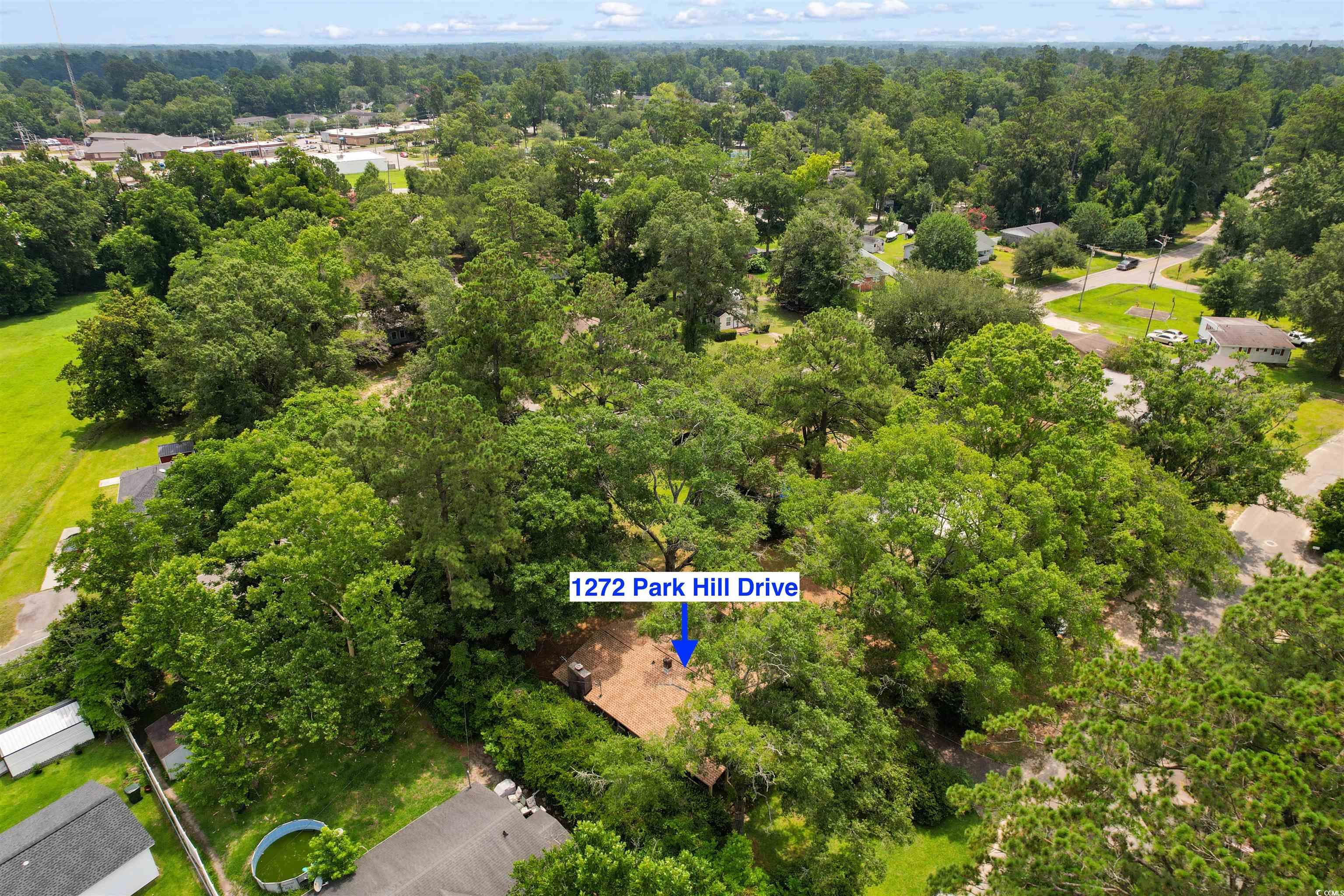 1272 Park Hill Dr., Conway, South Carolina image 38