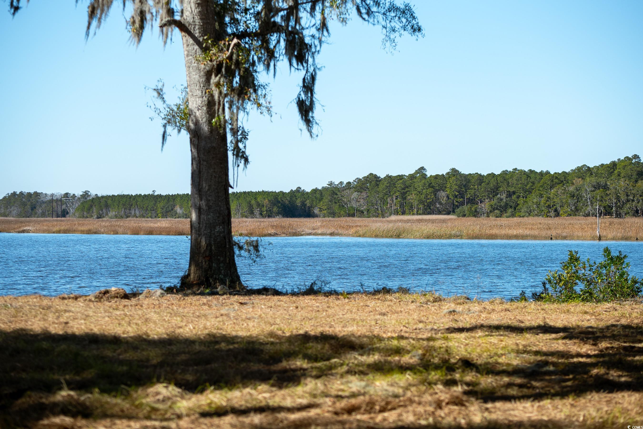 1939 Mauricena Rd., Georgetown, South Carolina image 1