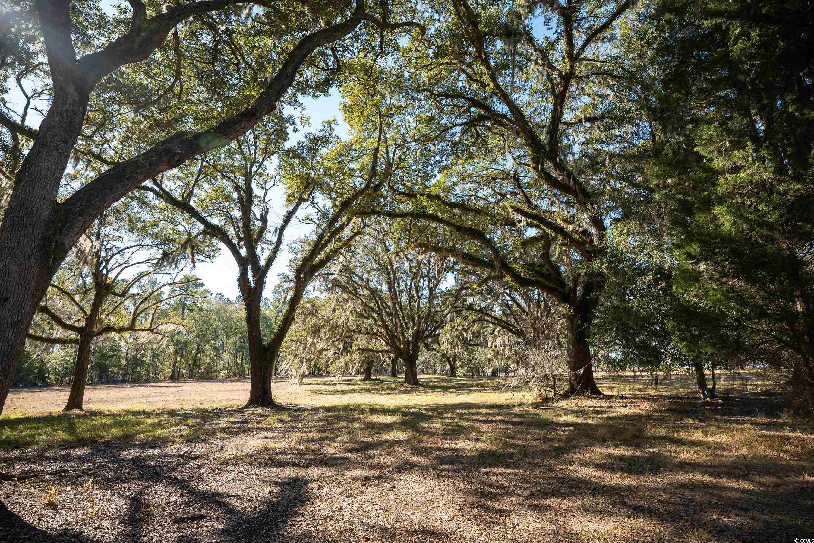 1939 Mauricena Rd., Georgetown, South Carolina image 10