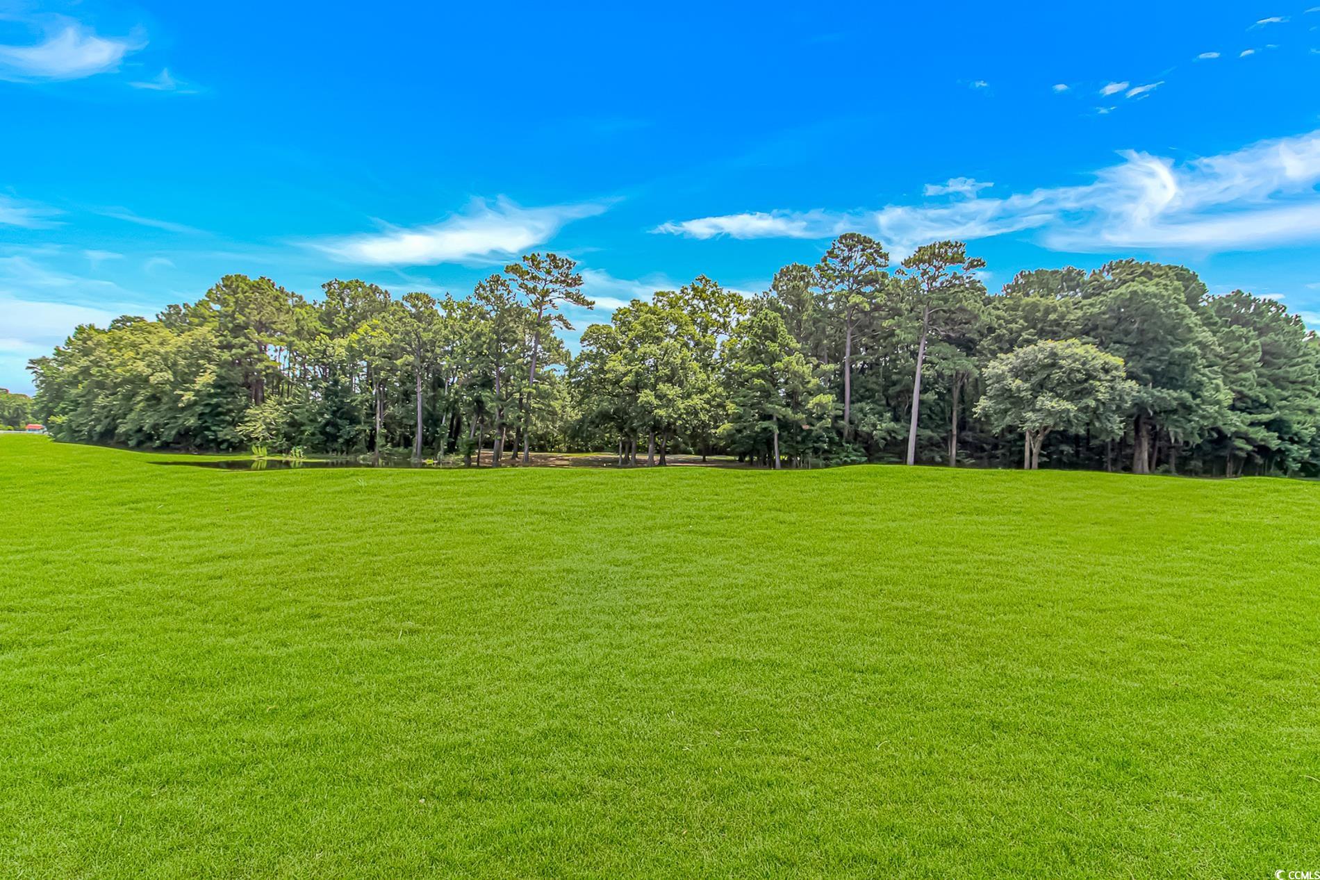 650 Tupelo Ln. #5-F, Longs, South Carolina image 32