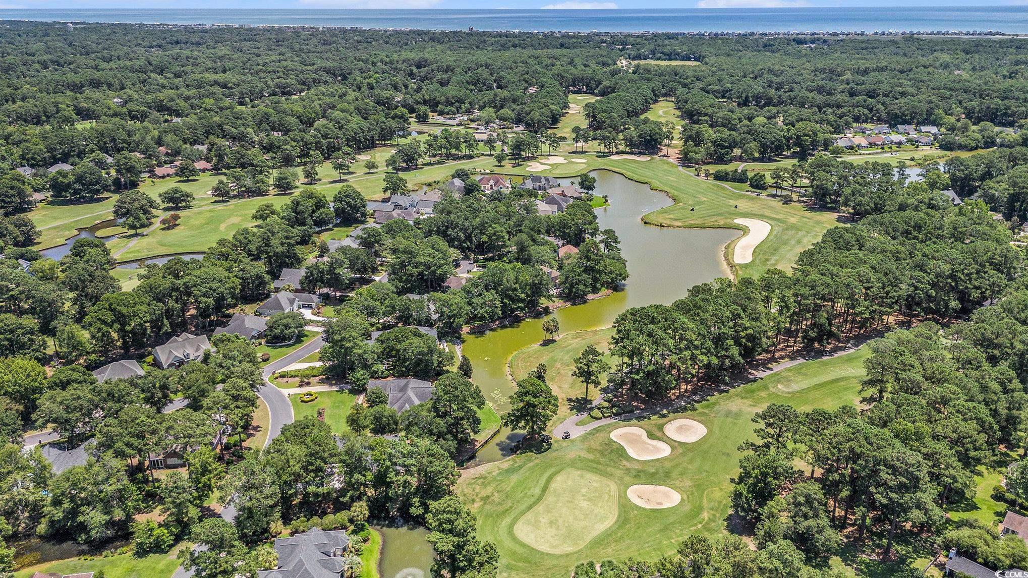 90 Old Carriage Ln., Pawleys Island, South Carolina image 29