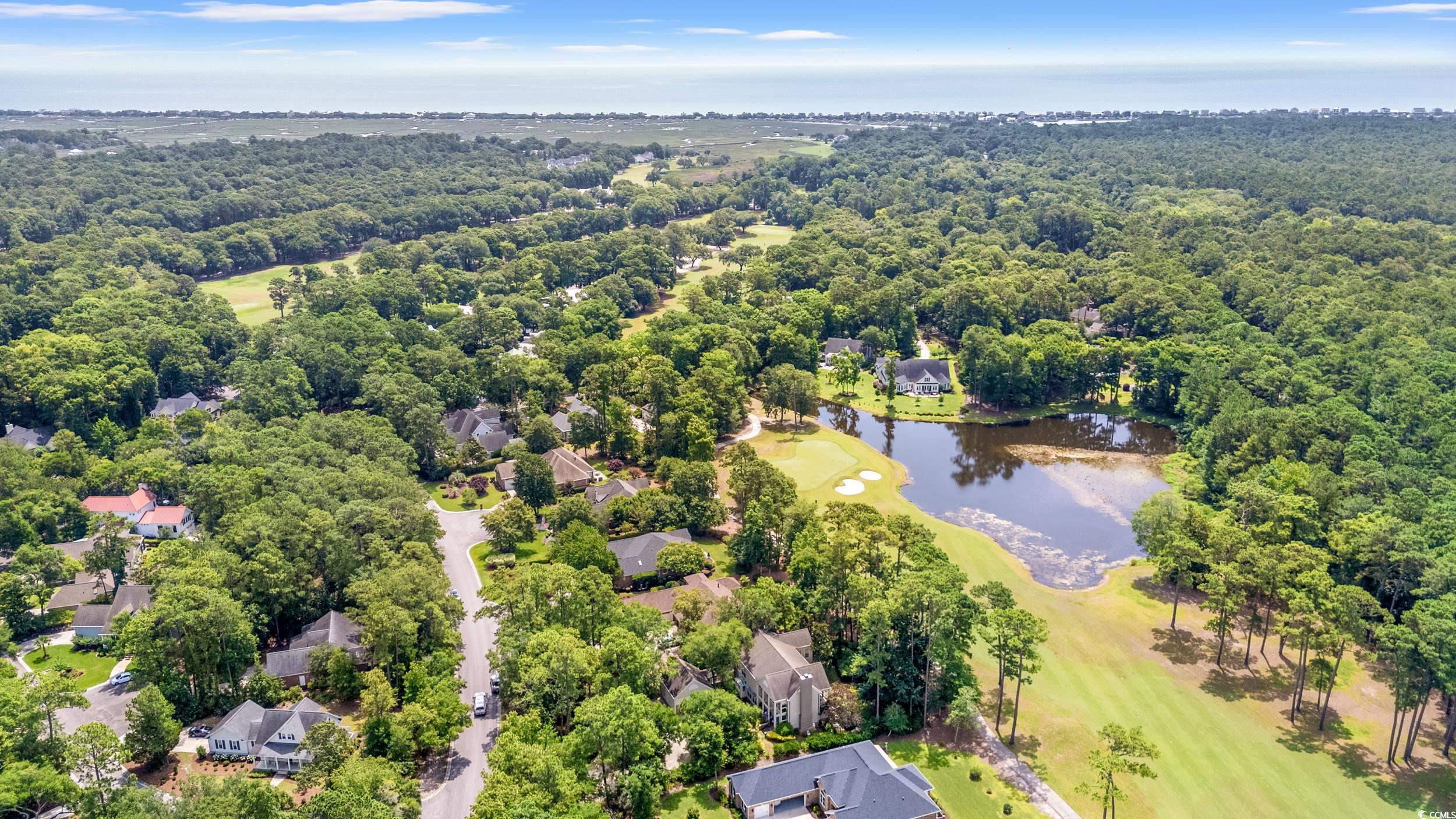 89 Cameron Ct., Pawleys Island, South Carolina image 39