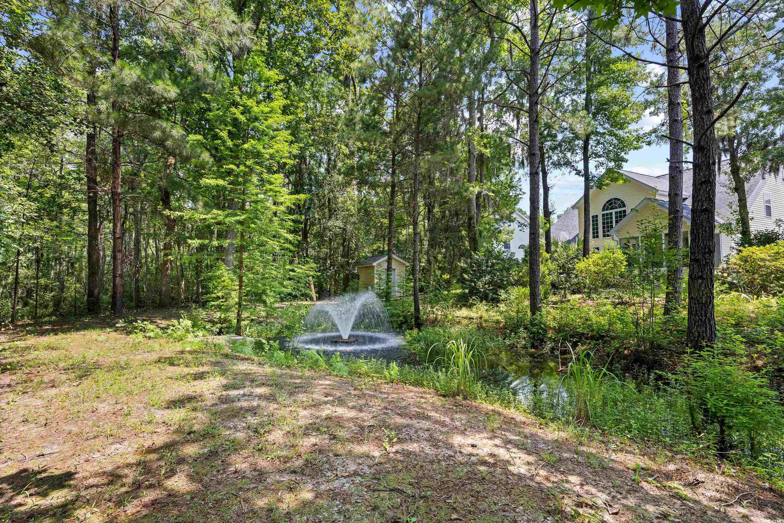 509 June Bug Ct., Myrtle Beach, South Carolina image 35