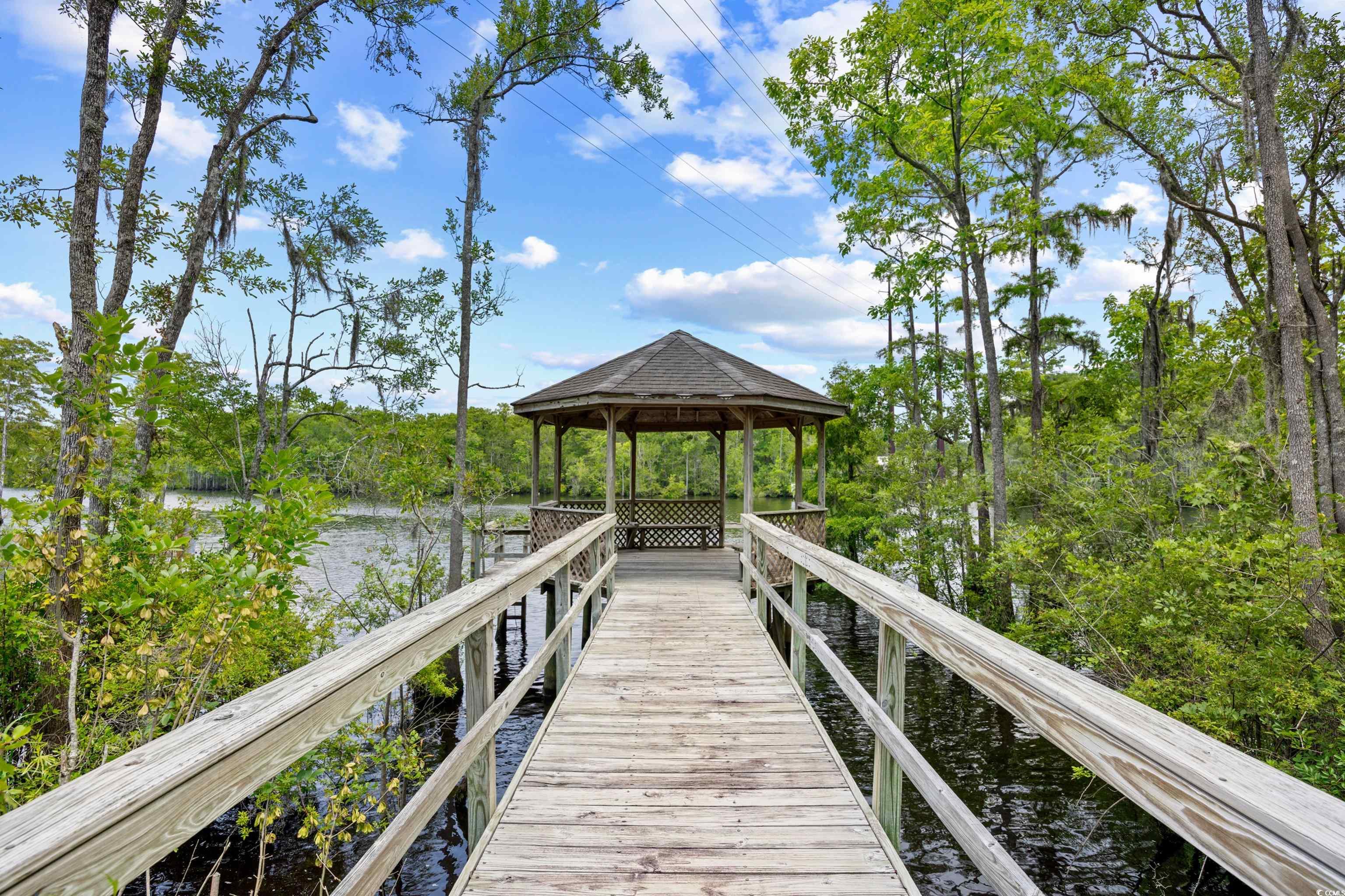 509 June Bug Ct., Myrtle Beach, South Carolina image 39