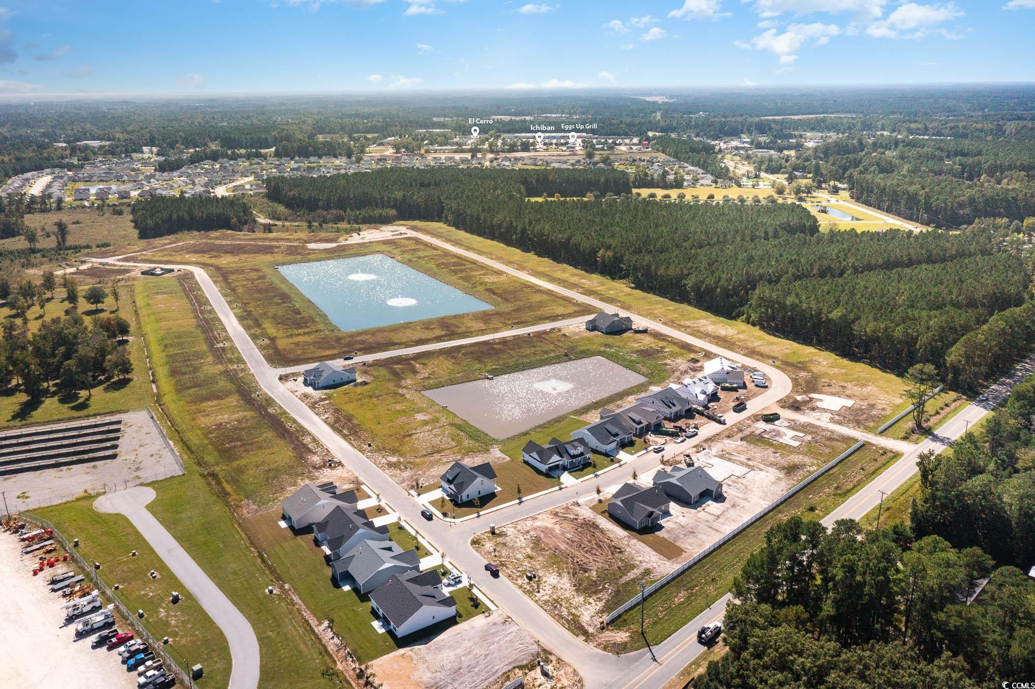 3231 Little Bay Dr., Conway, South Carolina image 23