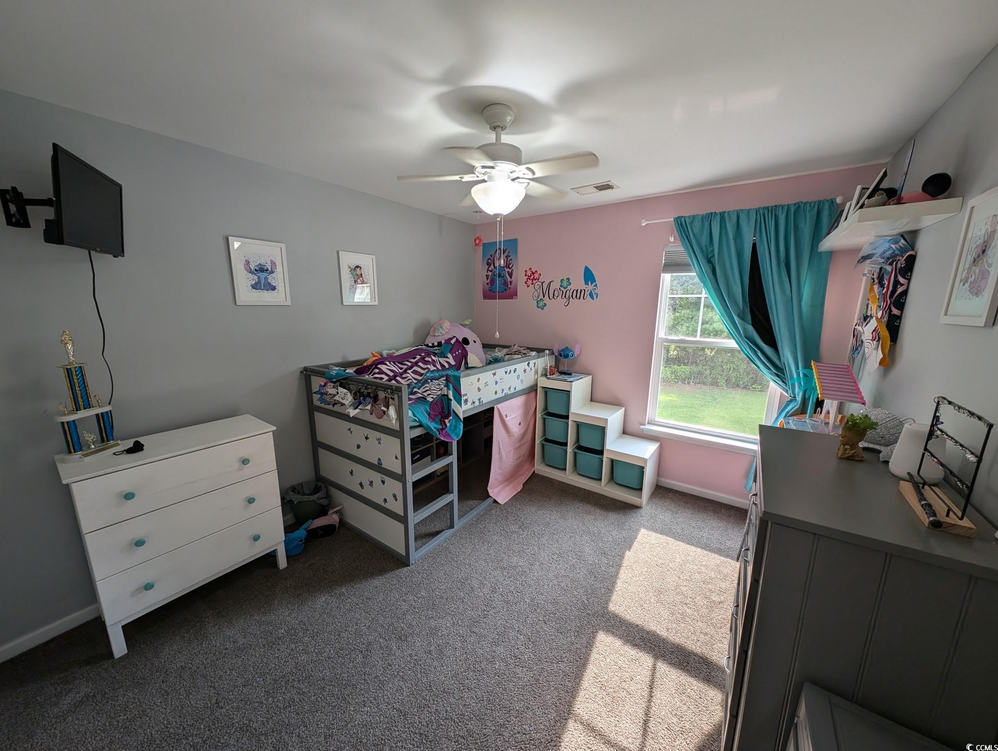 236 Haley Brooke Dr., Conway, South Carolina image 12