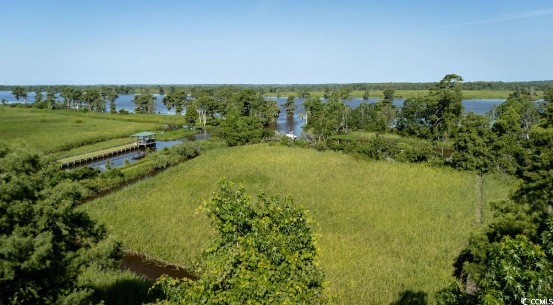 313 Rossdhu Ave., Pawleys Island, South Carolina image 15