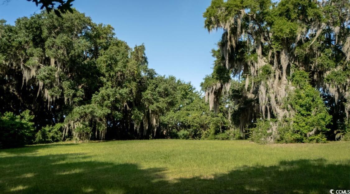 313 Rossdhu Ave., Pawleys Island, South Carolina image 16