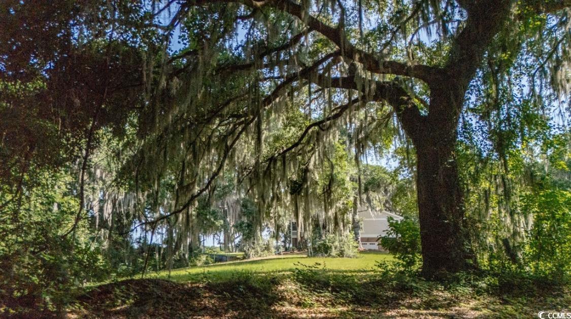 313 Rossdhu Ave., Pawleys Island, South Carolina image 18