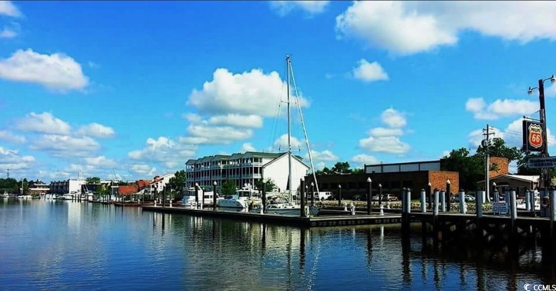 313 Rossdhu Ave., Pawleys Island, South Carolina image 29