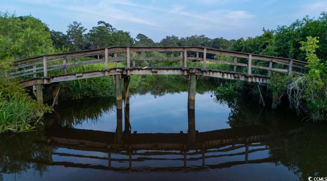 313 Rossdhu Ave., Pawleys Island, South Carolina image 3