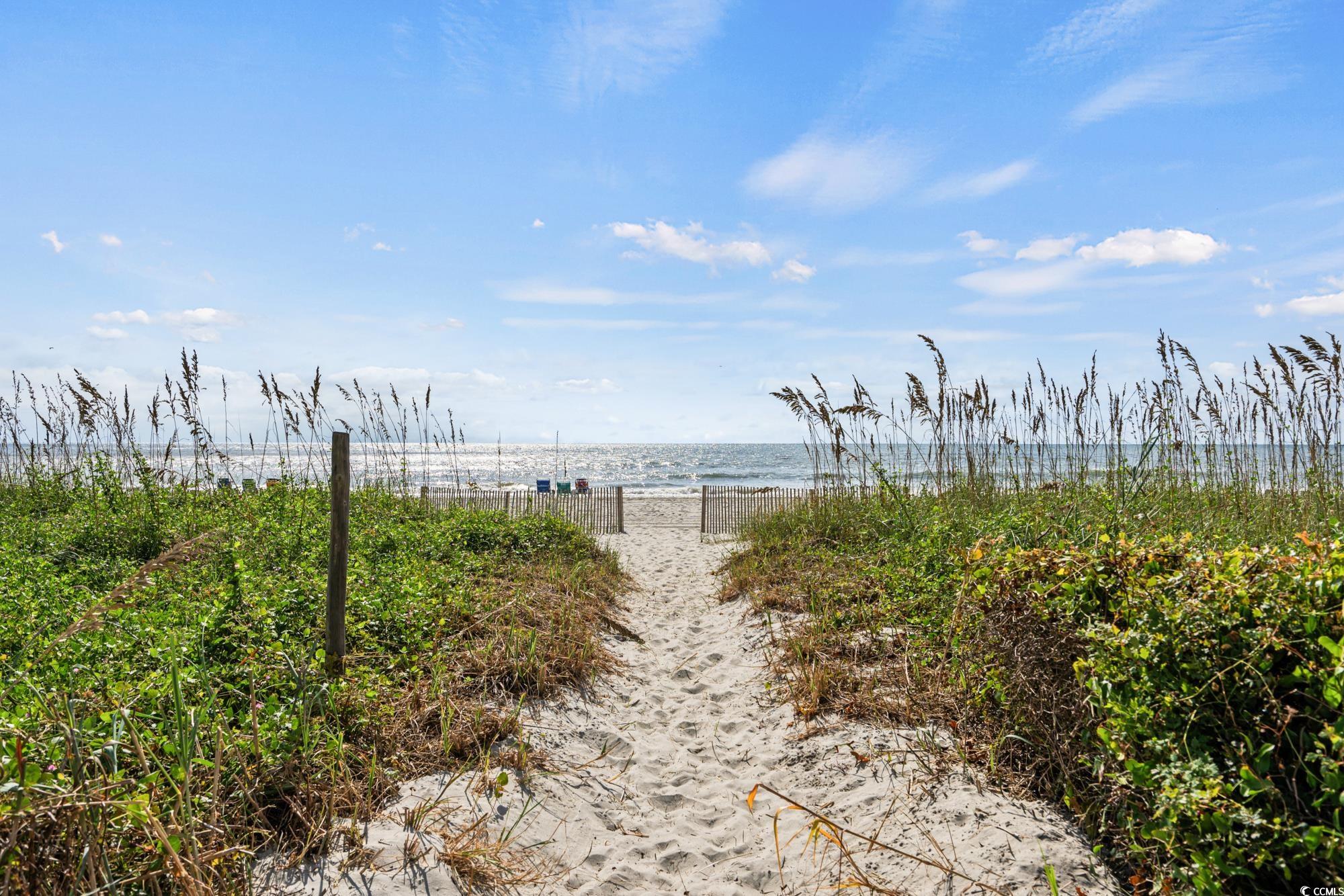 5515 N Ocean Blvd. N #206, Myrtle Beach, South Carolina image 35