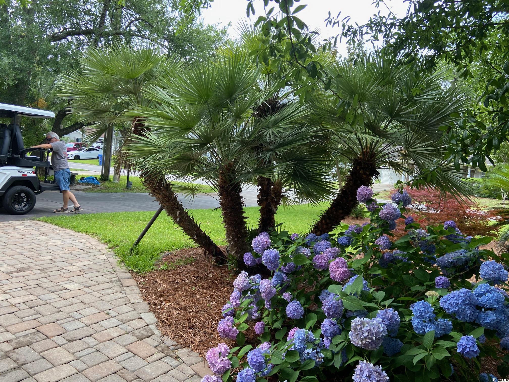 618 Cypress Dr., Surfside Beach, South Carolina image 2