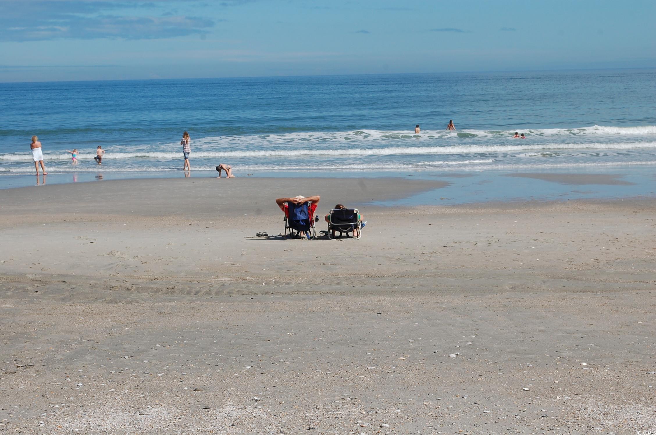 1011 Sable Palm Way, Surfside Beach, South Carolina image 34