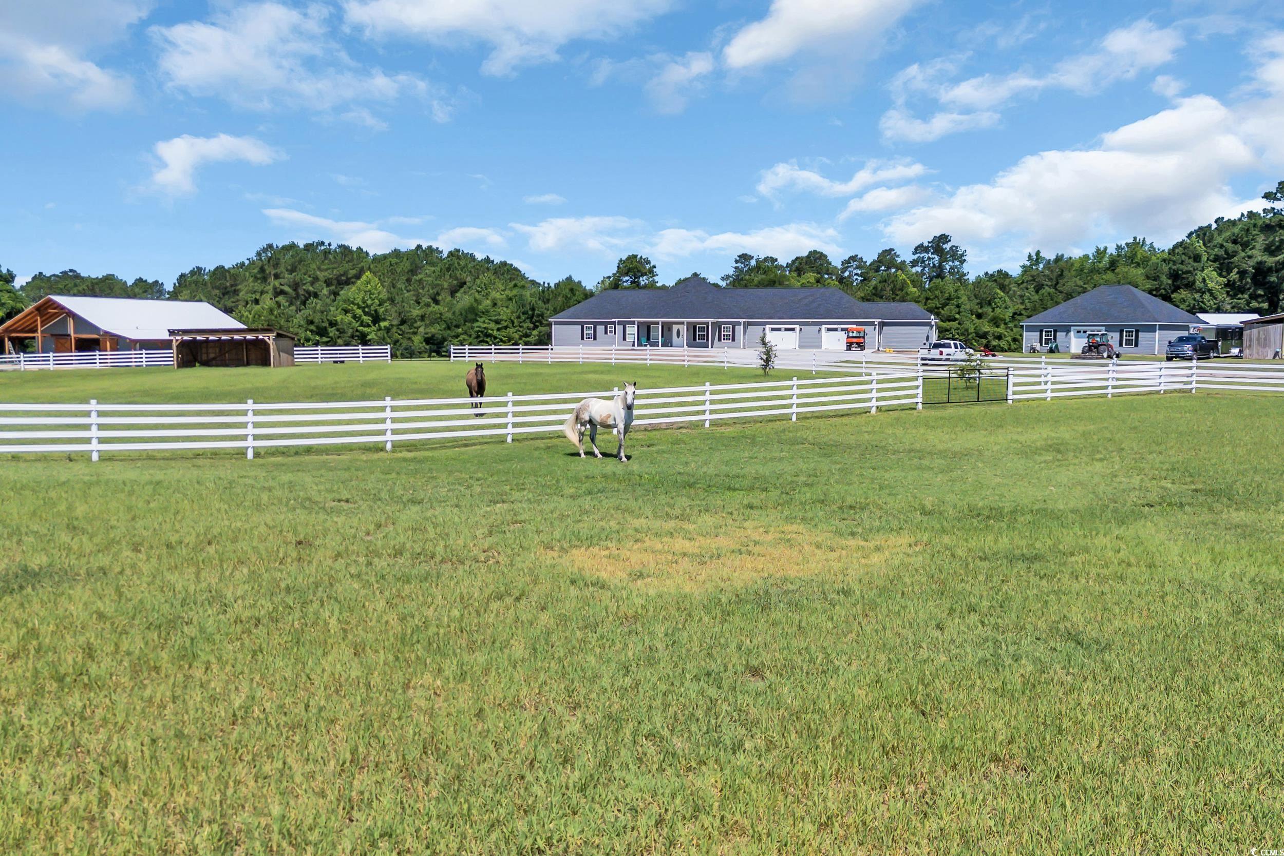 7356 Johnson Shortcut Rd., Conway, South Carolina image 1