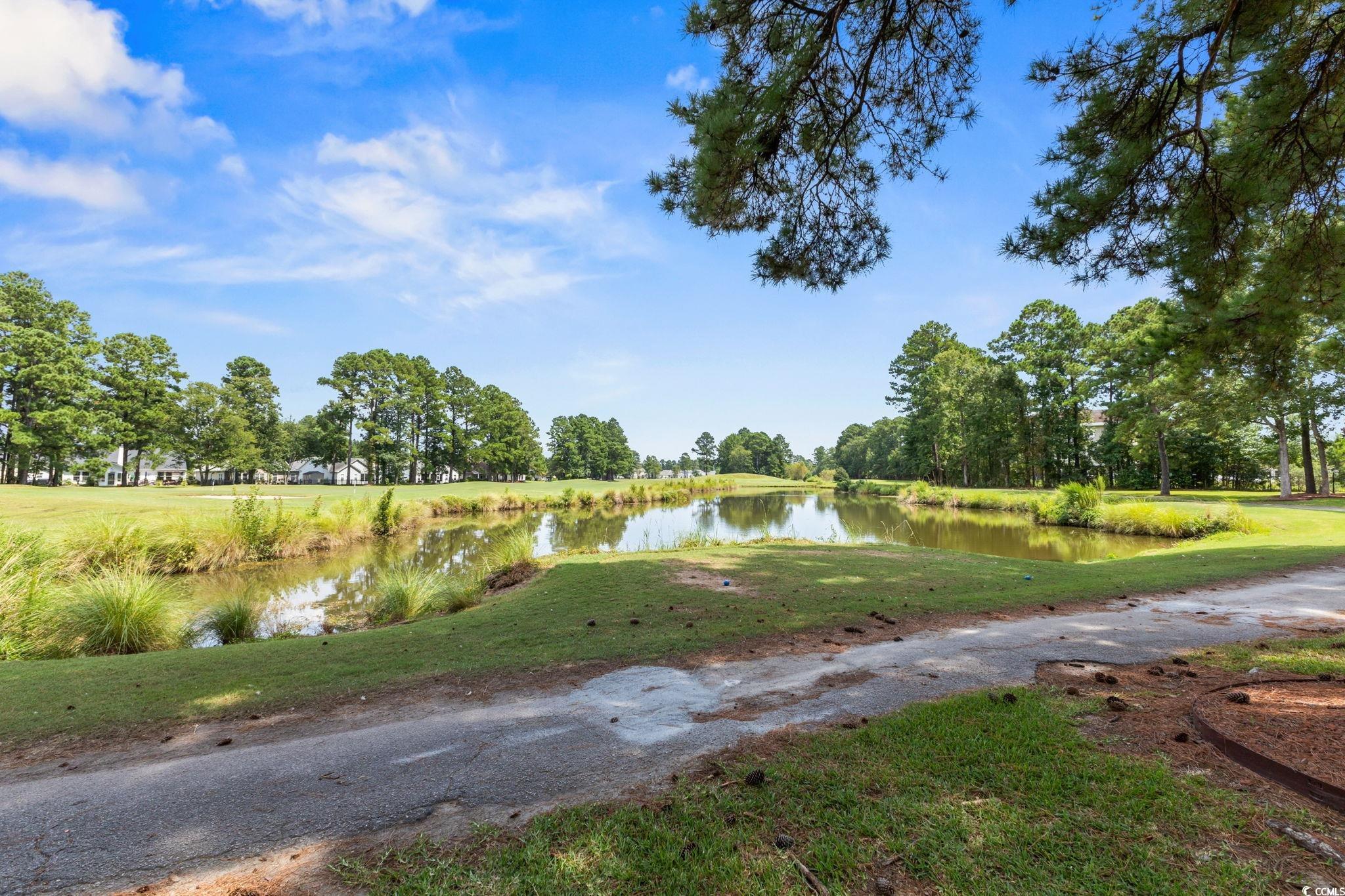 1644 Langley Dr., Longs, South Carolina image 37