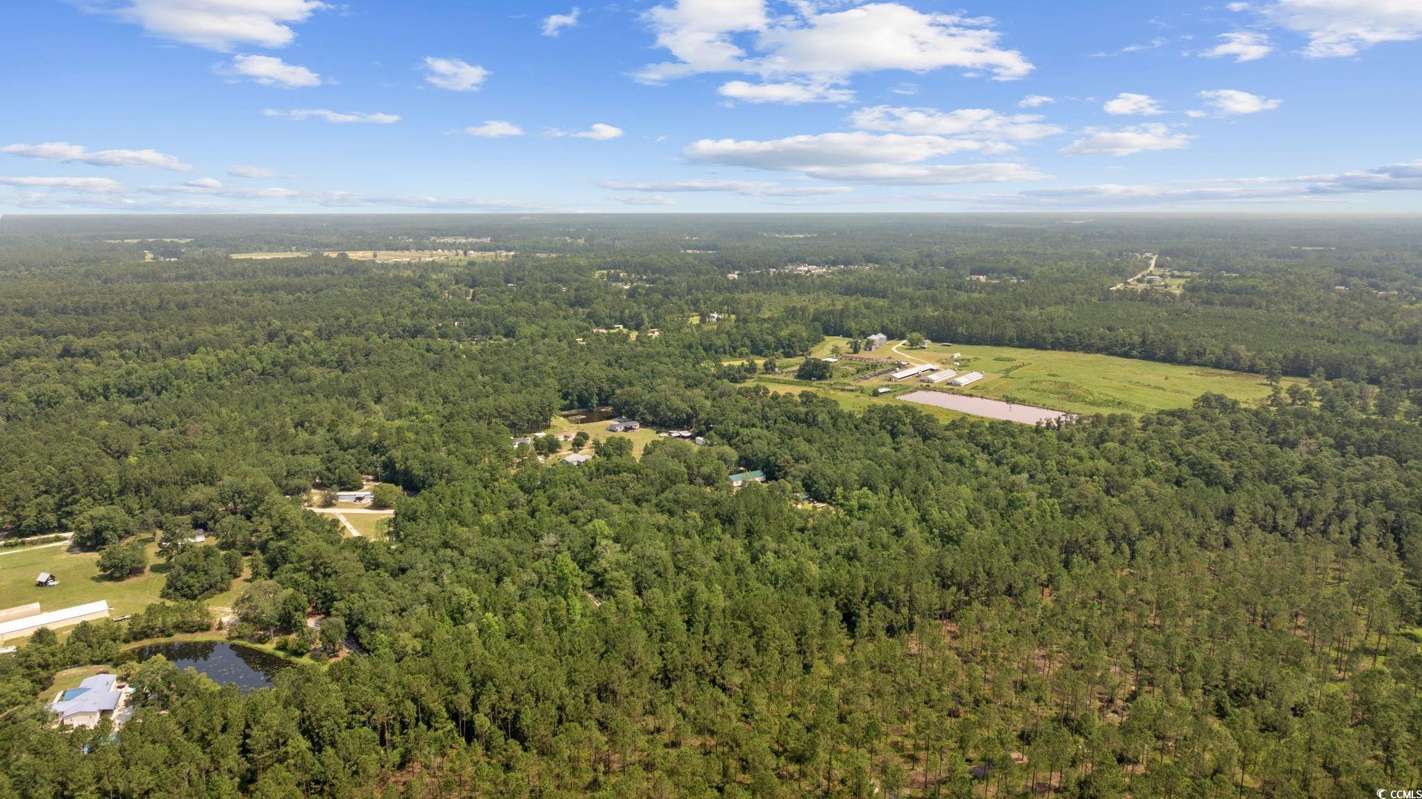 7258 Lawrimore Ln., Conway, South Carolina image 10