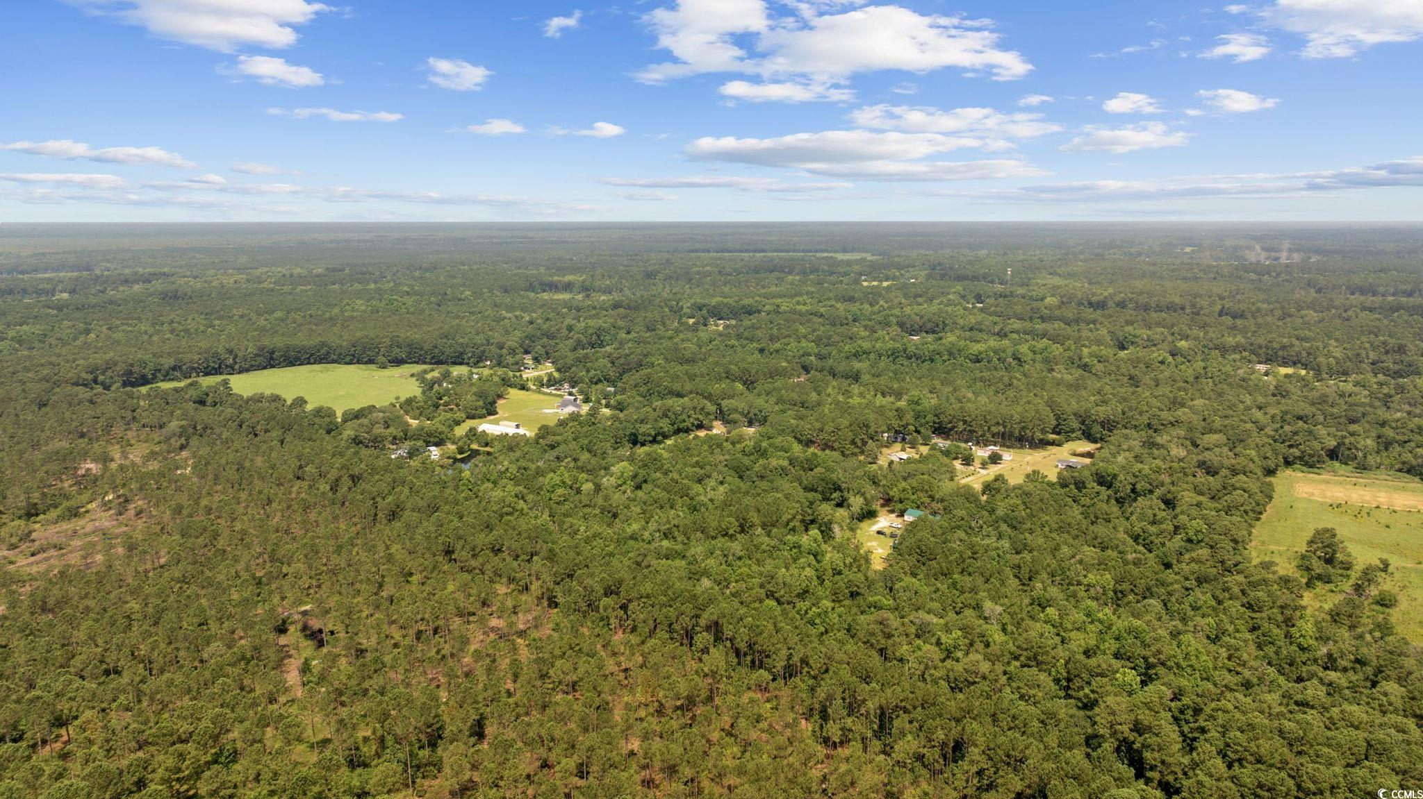 7258 Lawrimore Ln., Conway, South Carolina image 11
